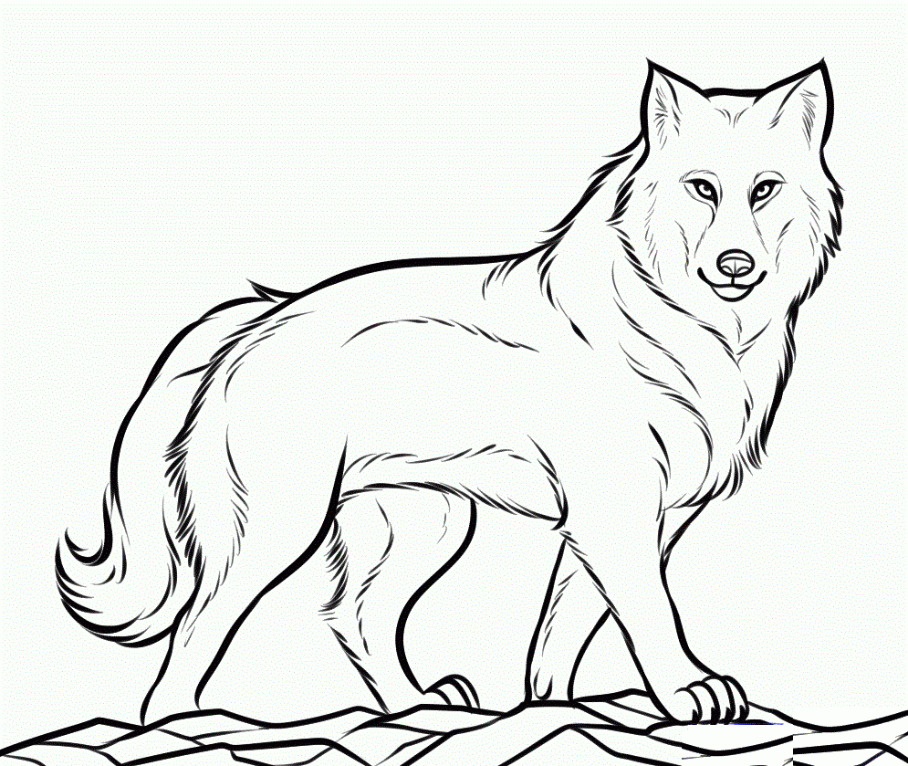 Printable Wolf Pack Coloring Pages