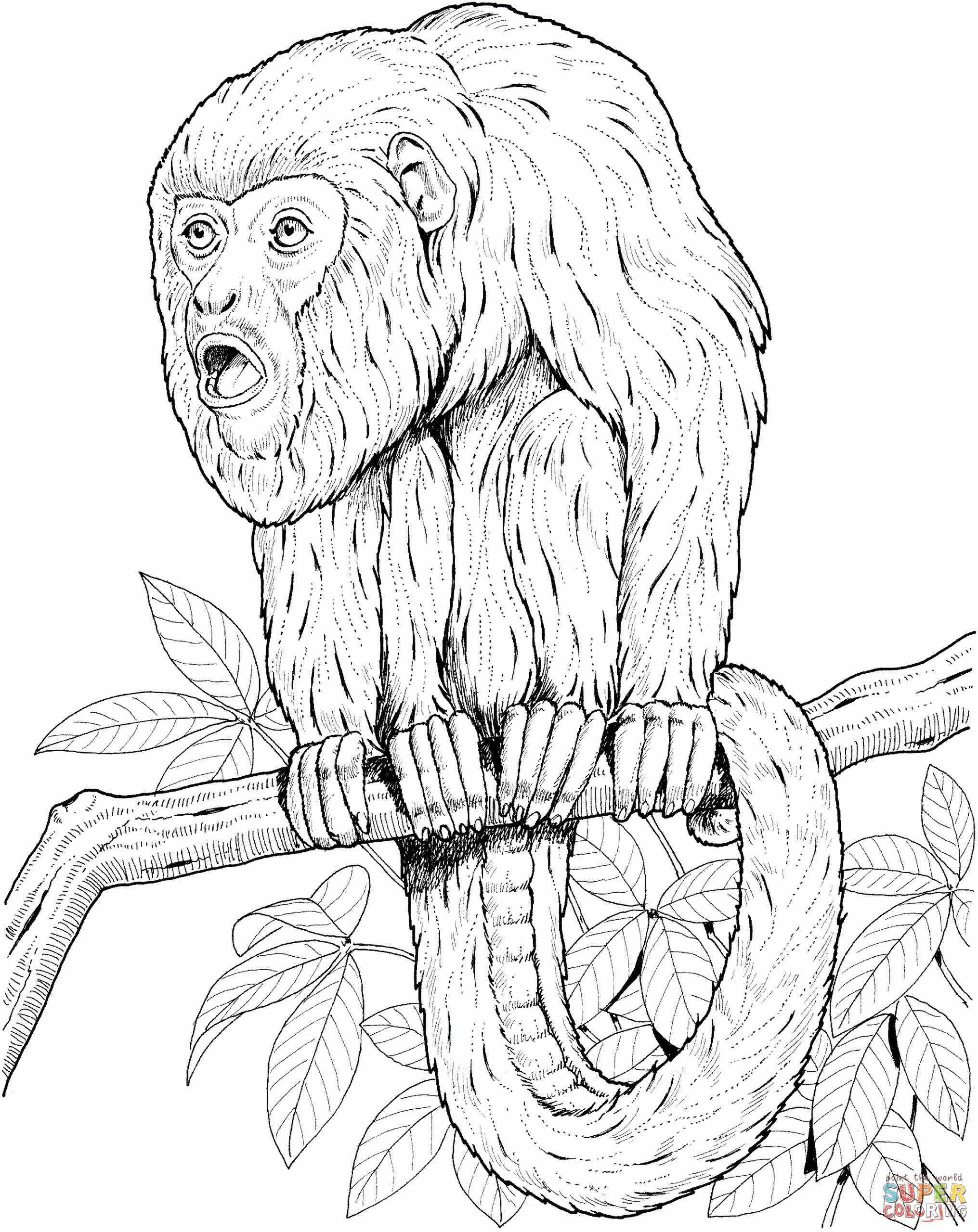 Printable Coloring Pages Monkey