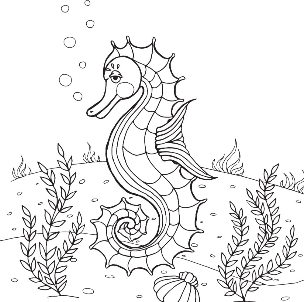 Free SEAHORSE Coloring Pages For Download Printable PDF VerbNow