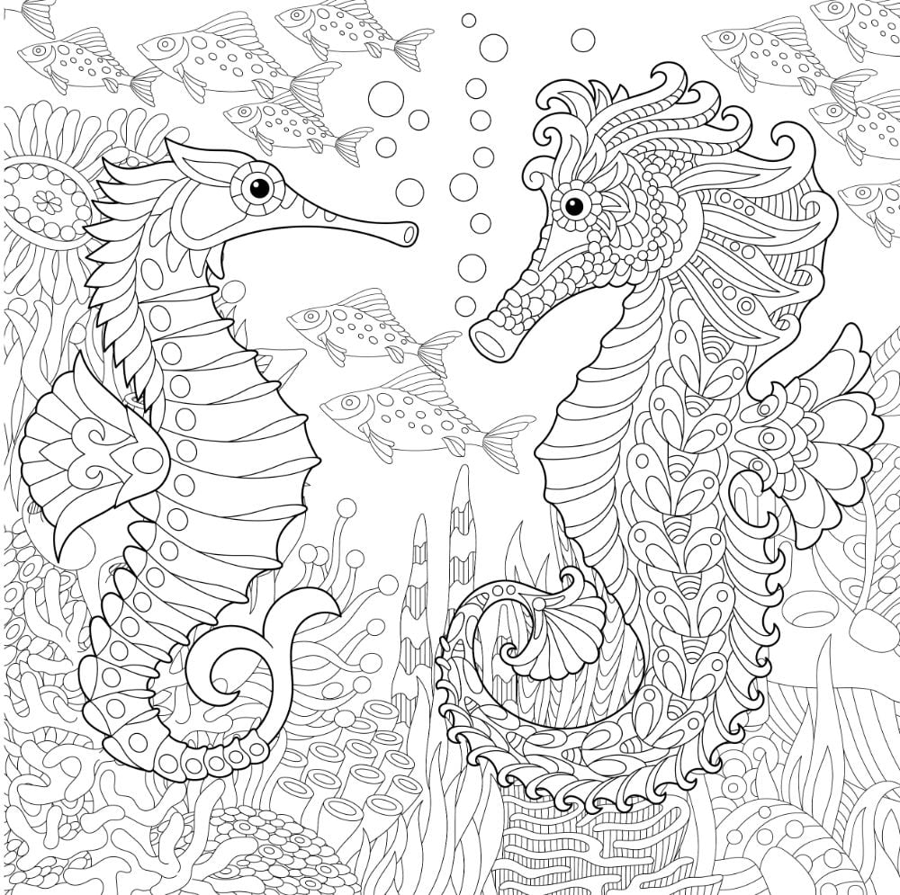 Free SEAHORSE Coloring Pages For Download Printable PDF VerbNow