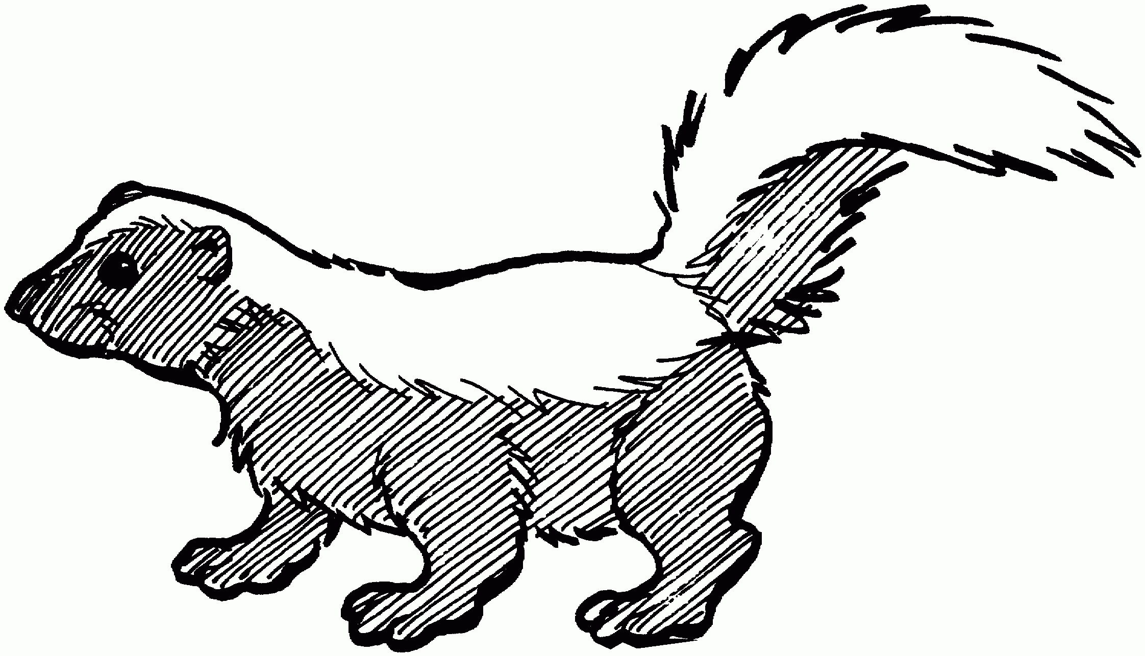 Skunk Coloring Pages Printable
