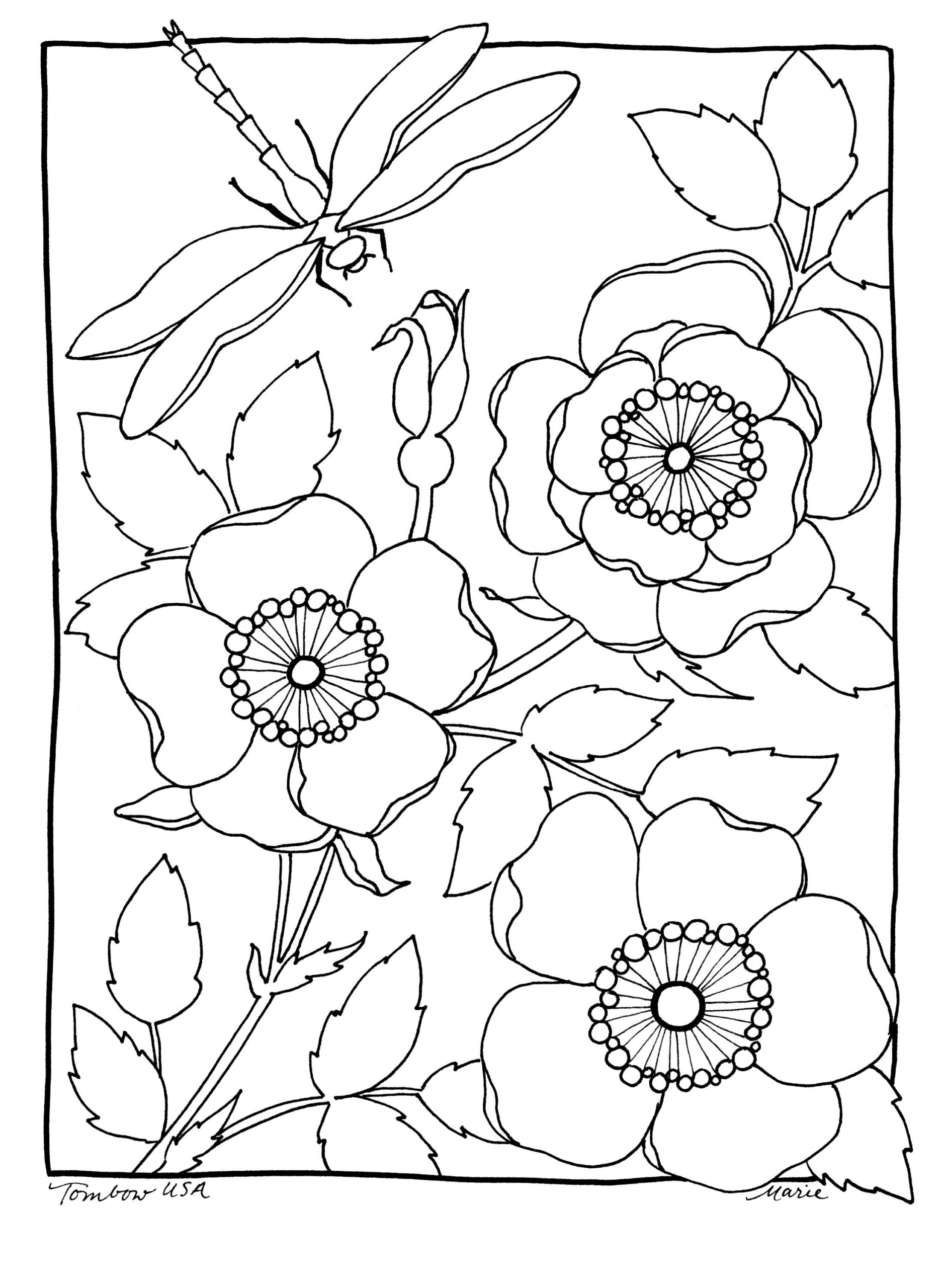 Free Watercolor Coloring Pages Coloring Pages Ideas