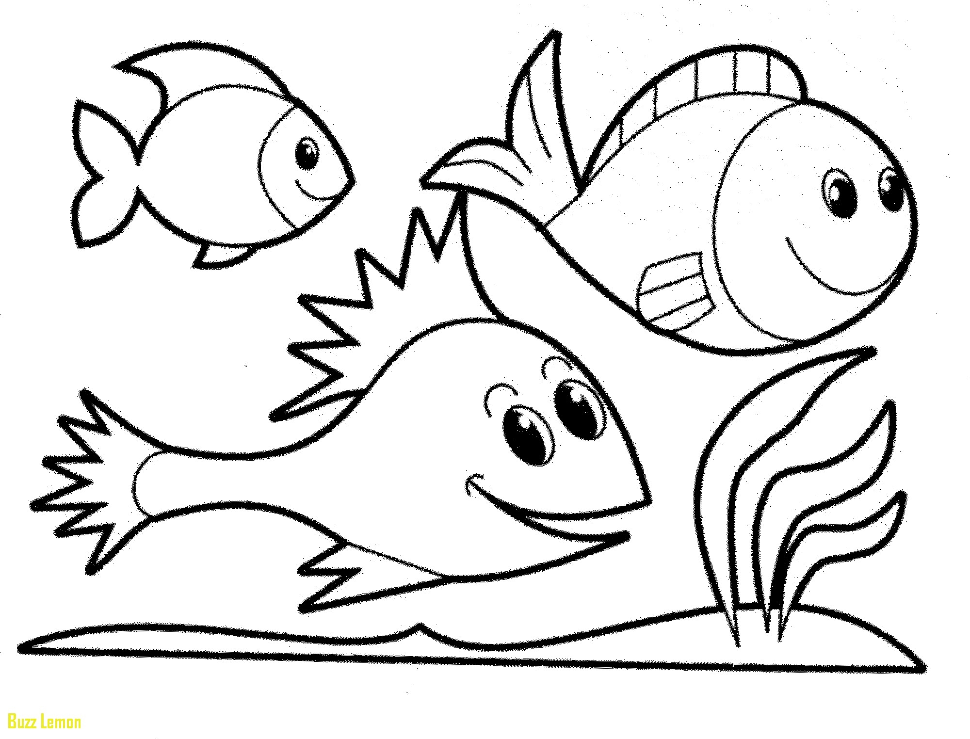 Freshwater Fish Coloring Pages At GetColorings Free Printable Colorings Pages To Print And