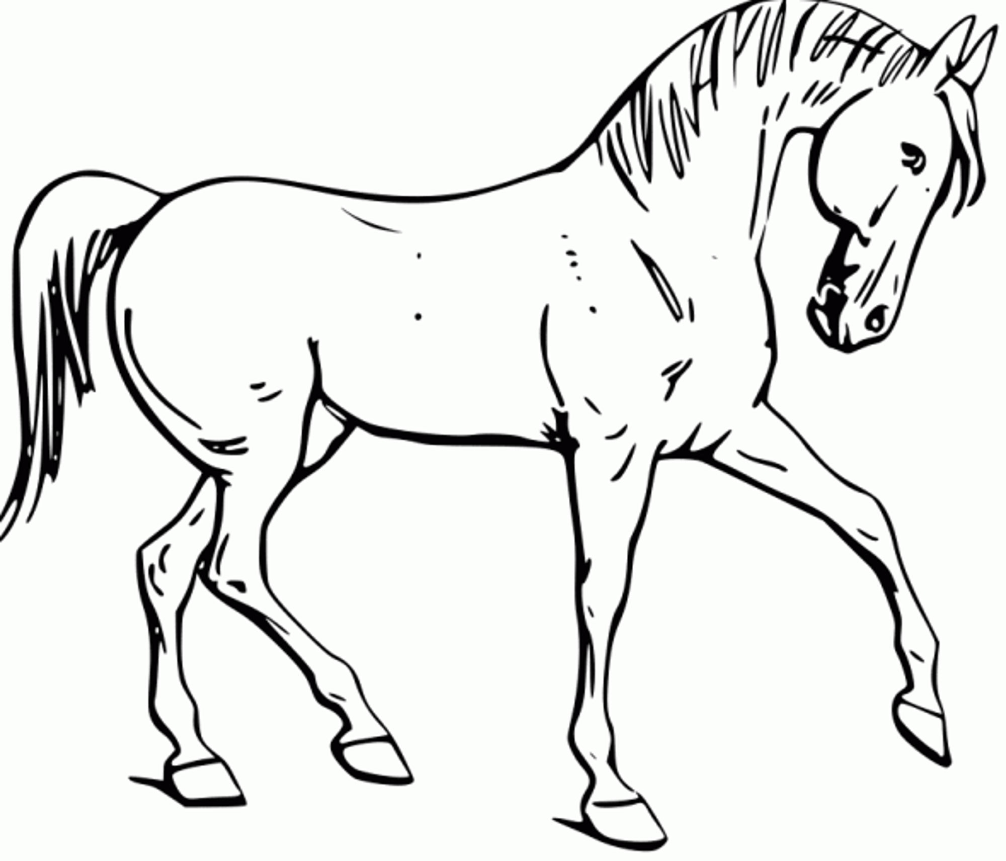 Printable Coloring Pages Horses