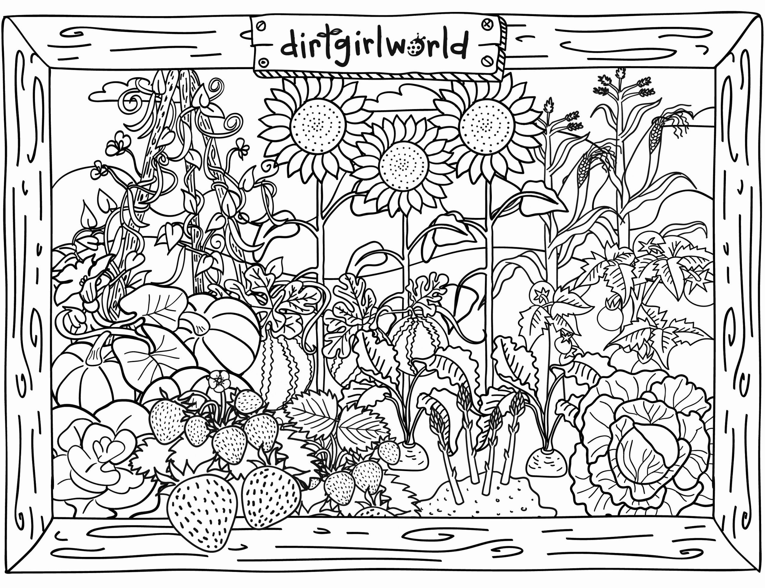 Garden Coloring Pages Printable Printable Word Searches