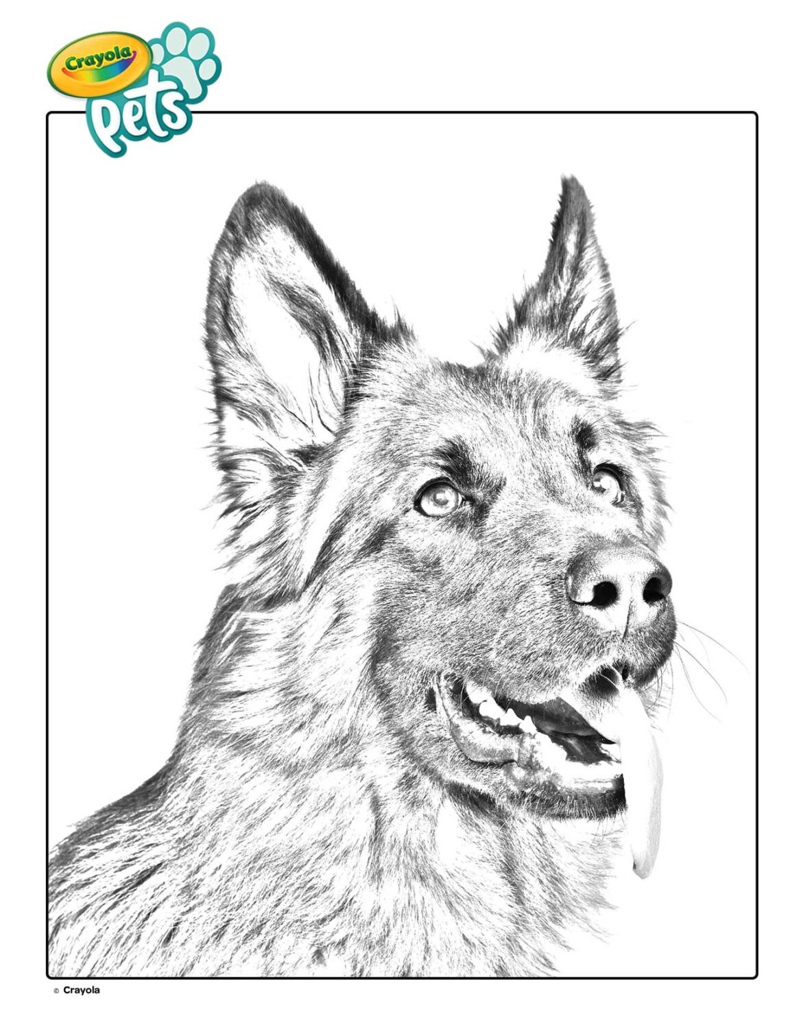 Printable Realistic Dog Coloring Pages