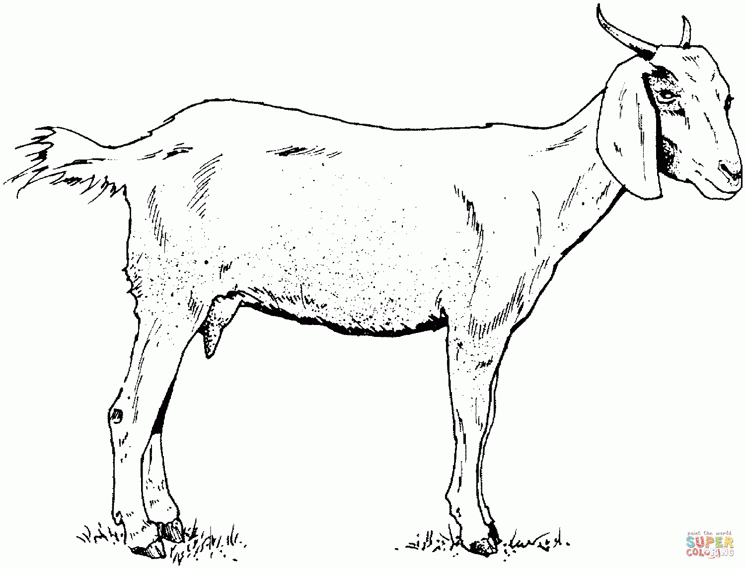 Goat Printables Coloring Pages Coloring Home