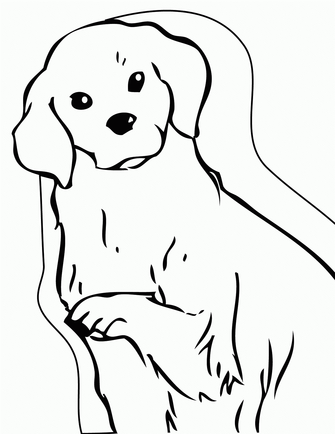 Golden Retriever Coloring Pages Best Coloring Pages For Kids