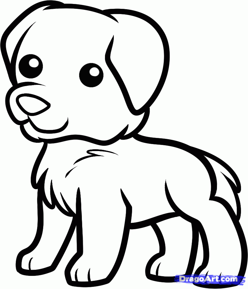 Golden Retriever Printable Coloring Pages