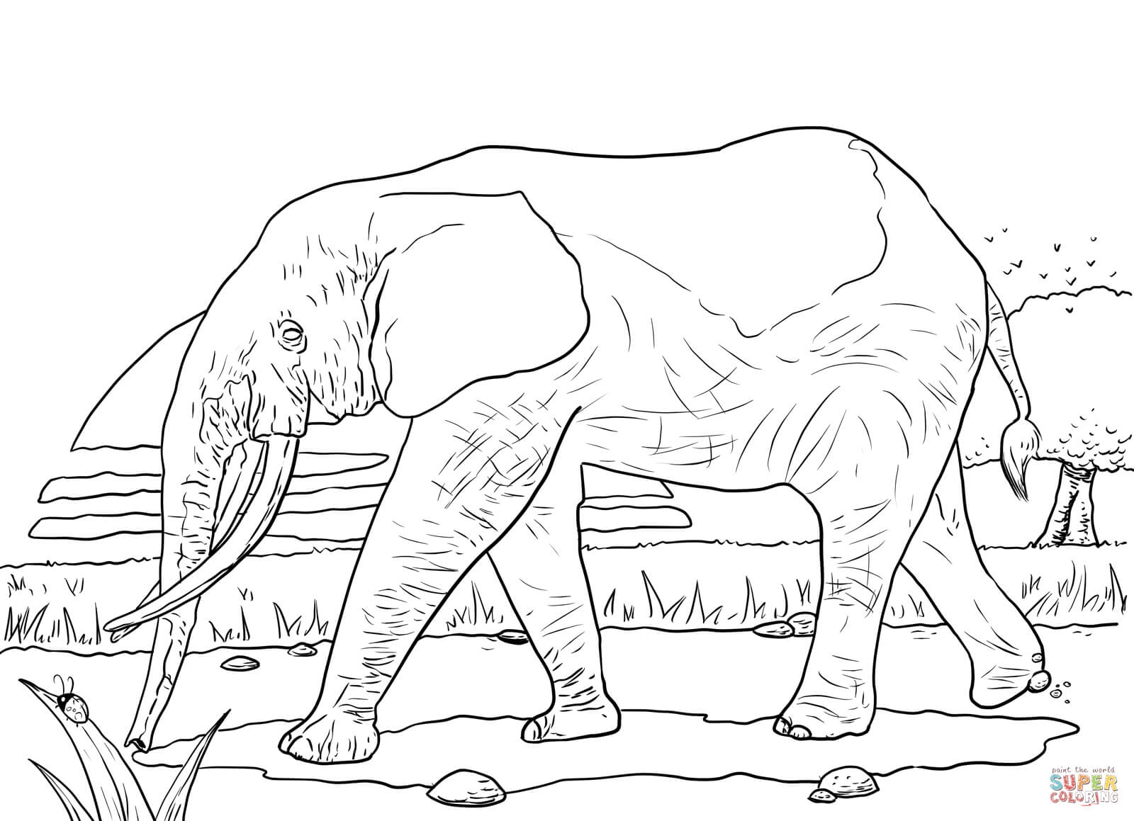 Grassland Animals Coloring Pages At GetColorings Free Printable Colorings Pages To Print