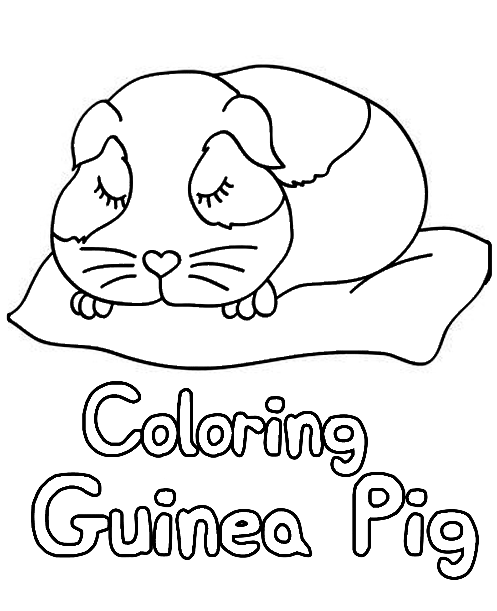 Guinea Pig Coloring Pages For Kids Printable