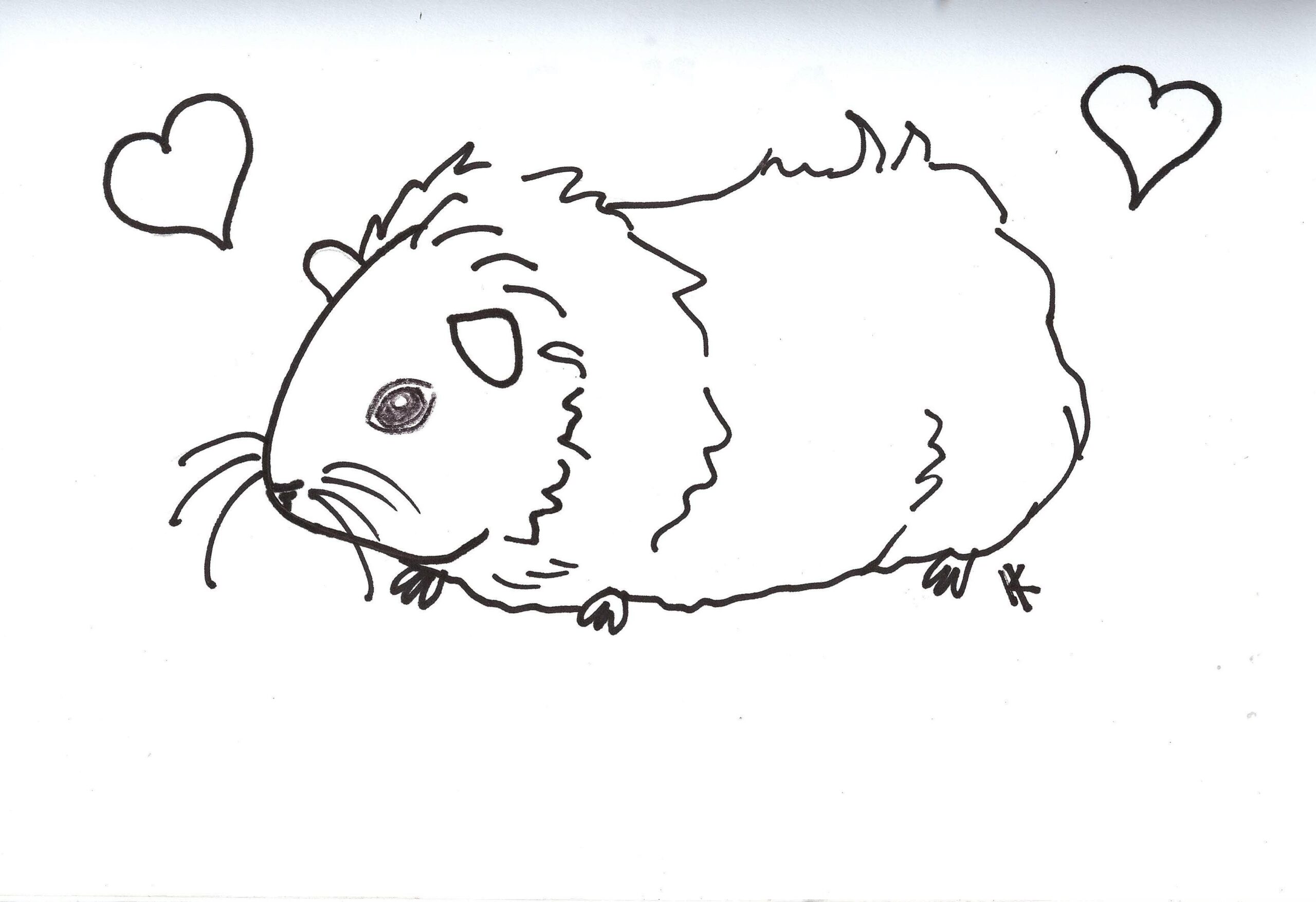 Guinea Pig Coloring Pages To Download And Print For Free