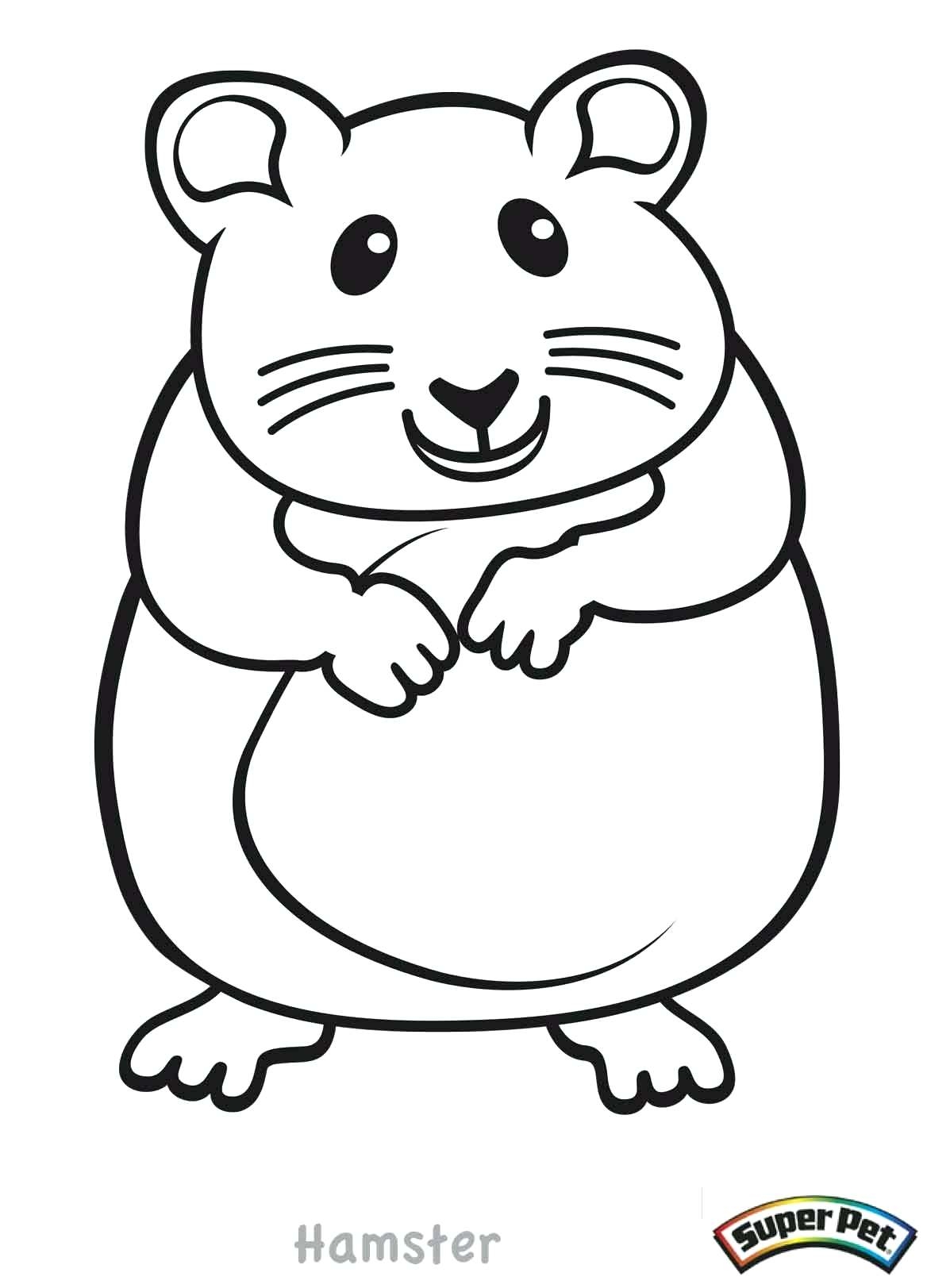 Hamster Coloring Pages At GetDrawings Free Download