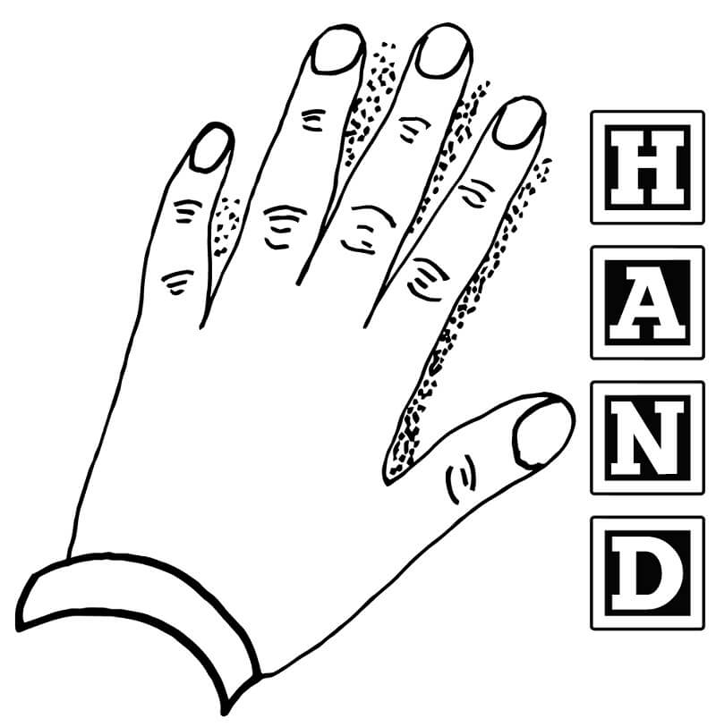 Hand Coloring Page Printable