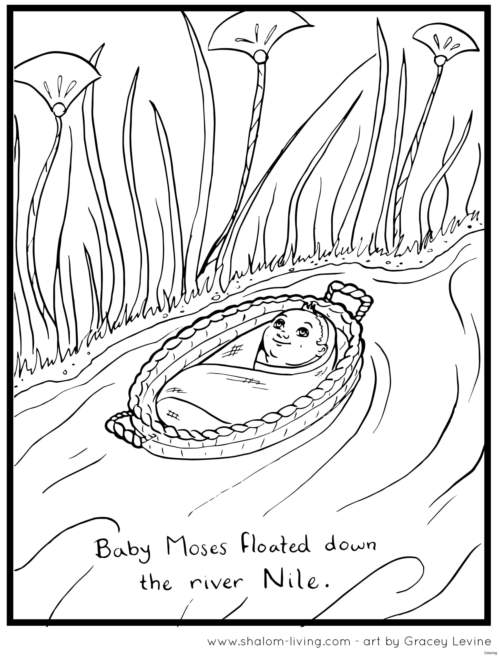 Happy Passover Coloring Pages At GetDrawings Free Download