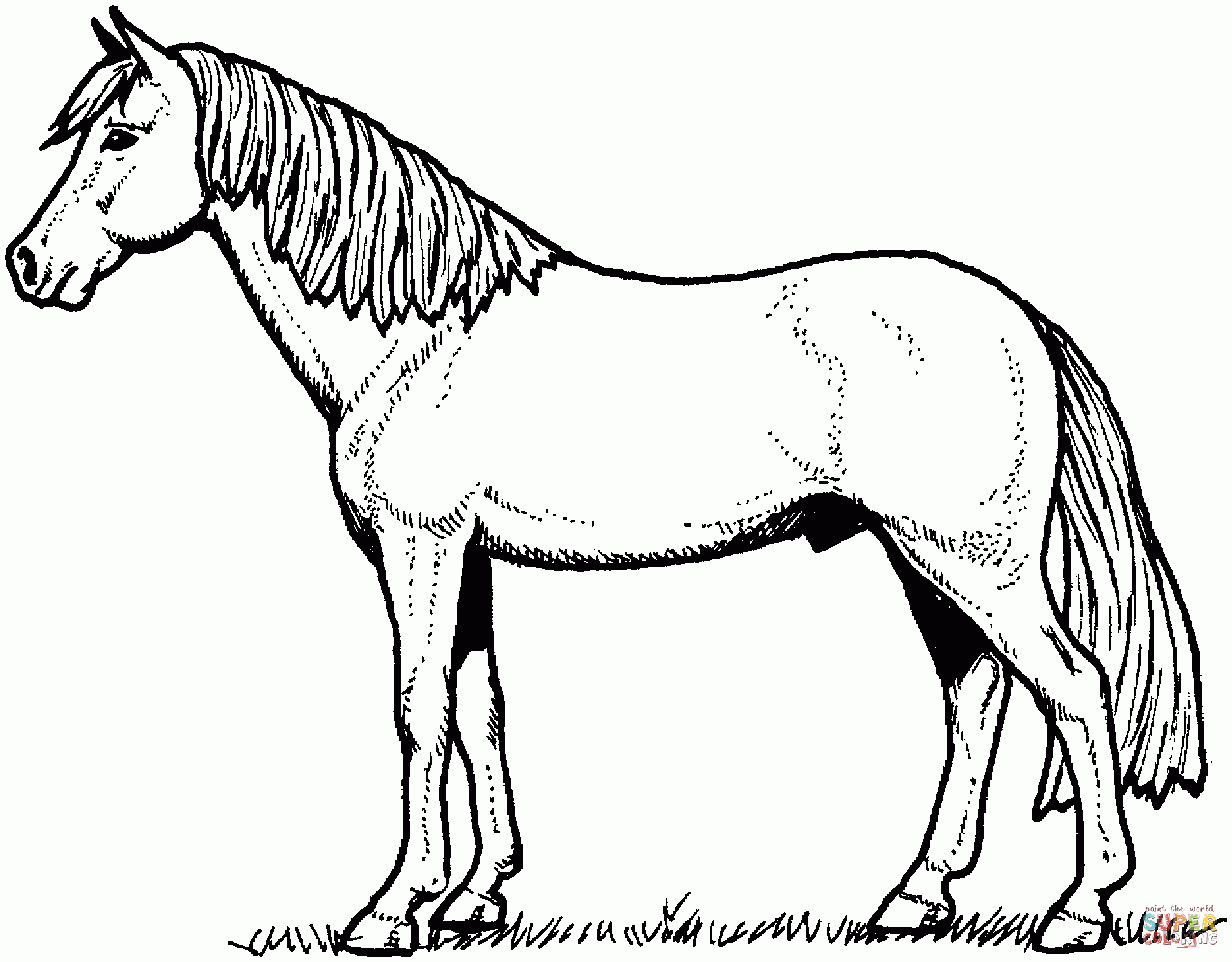Coloring Pages Horses Printable