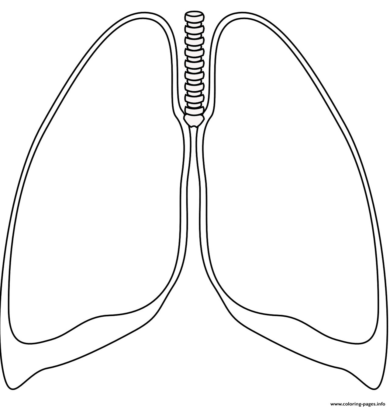 Human Lungs Coloring Page Printable