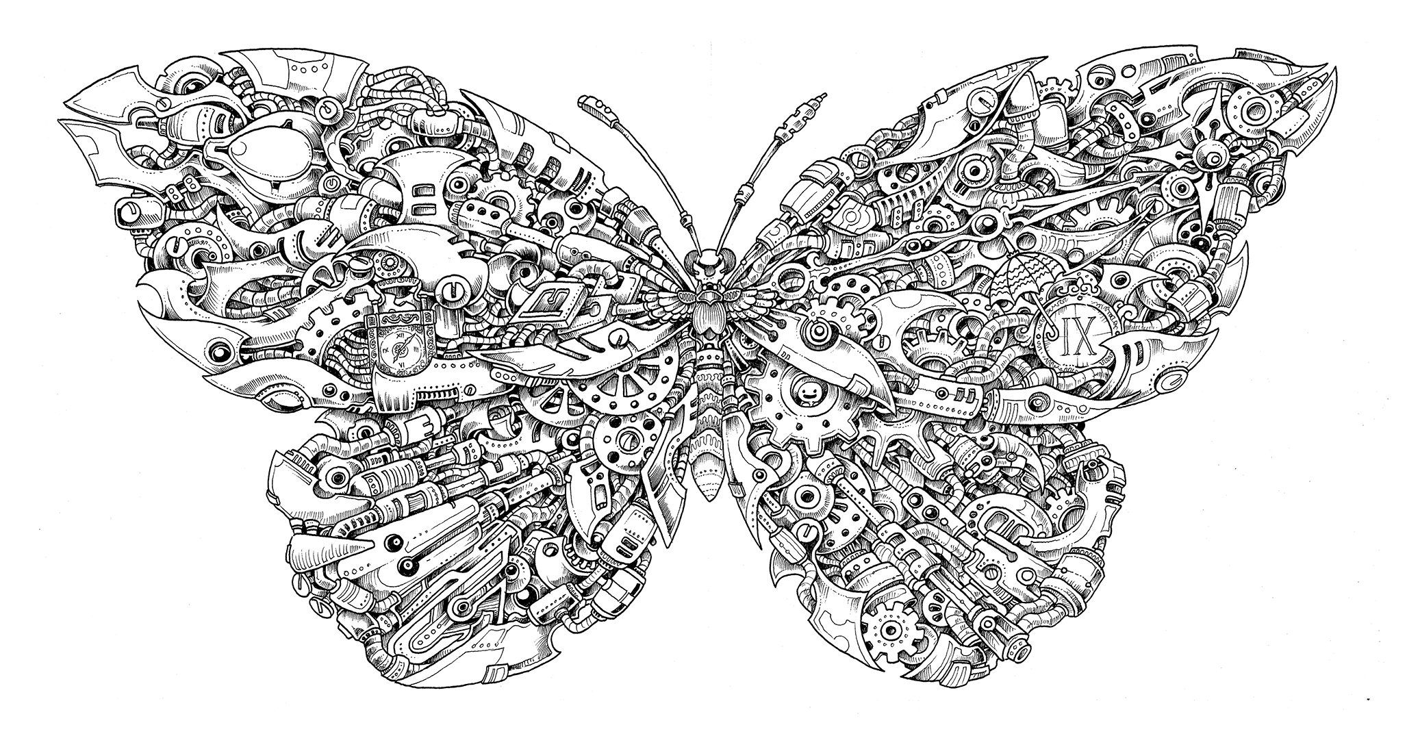 Imagimorphia An Extreme Coloring And Search Challenge Skull Coloring Pages Blank Coloring