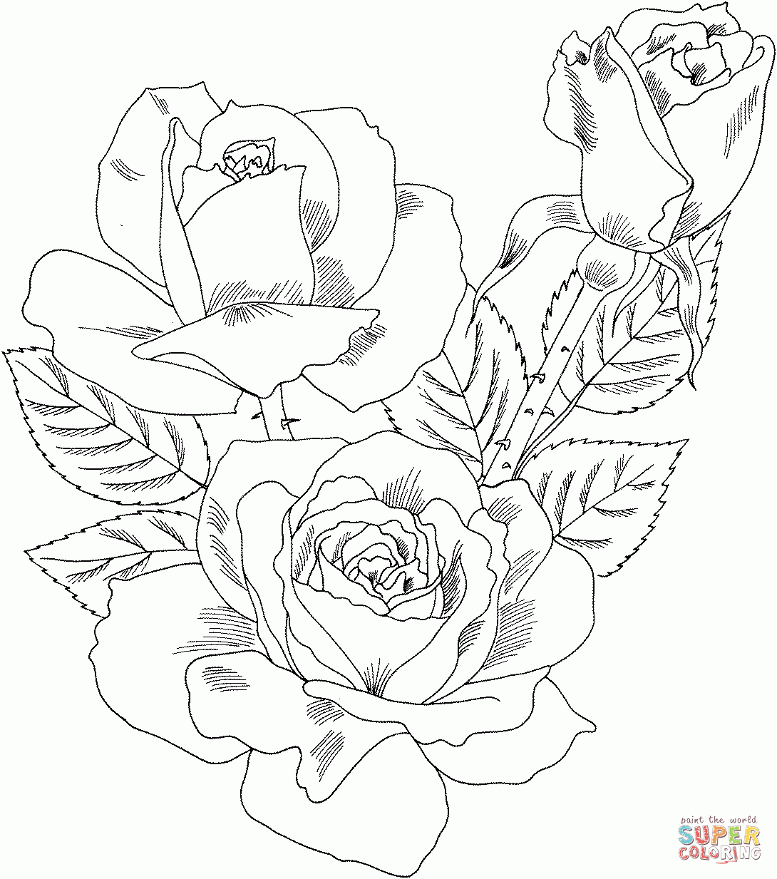 Intricate Rose Coloring Page Coloring Home