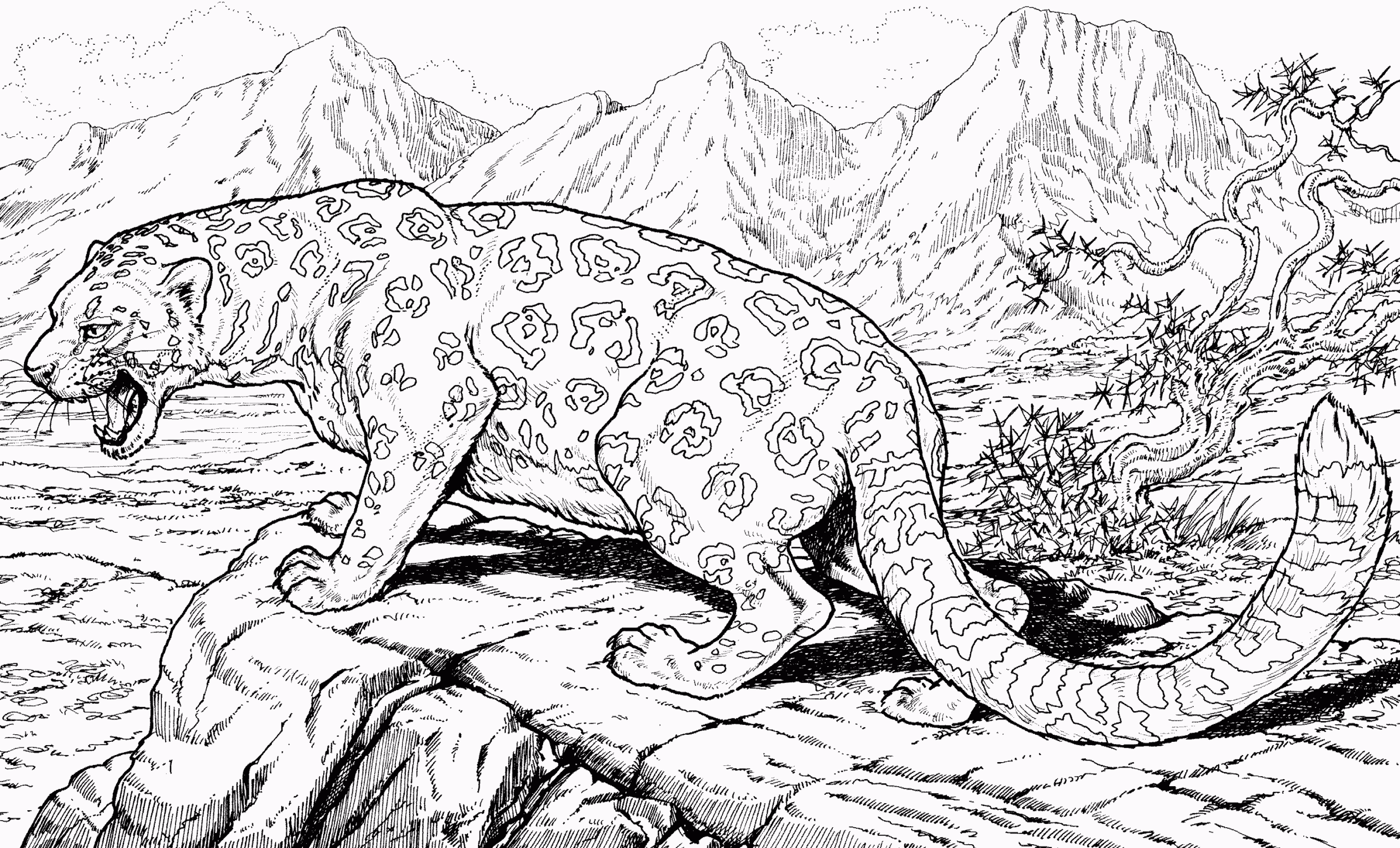 Jaguar Coloring Activities