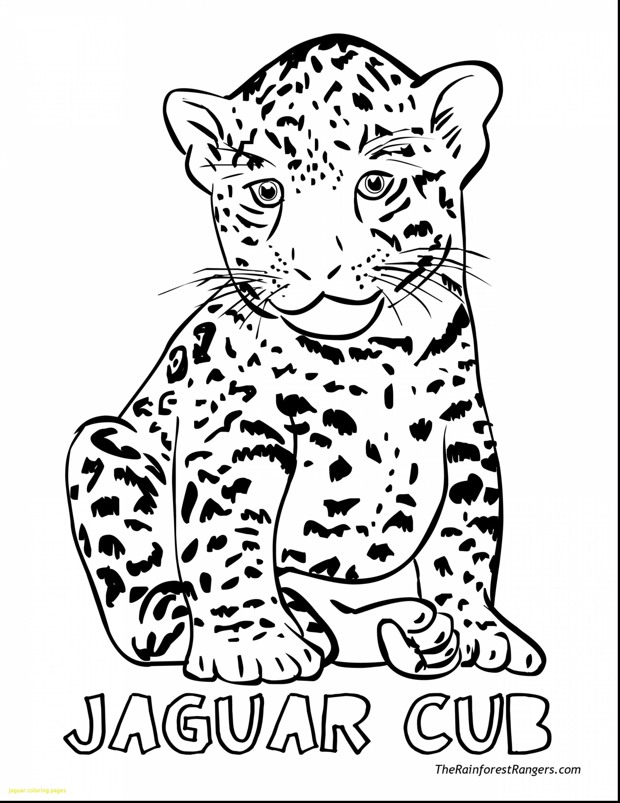 Jaguar Coloring Pages At GetColorings Free Printable Colorings Pages To Print And Color