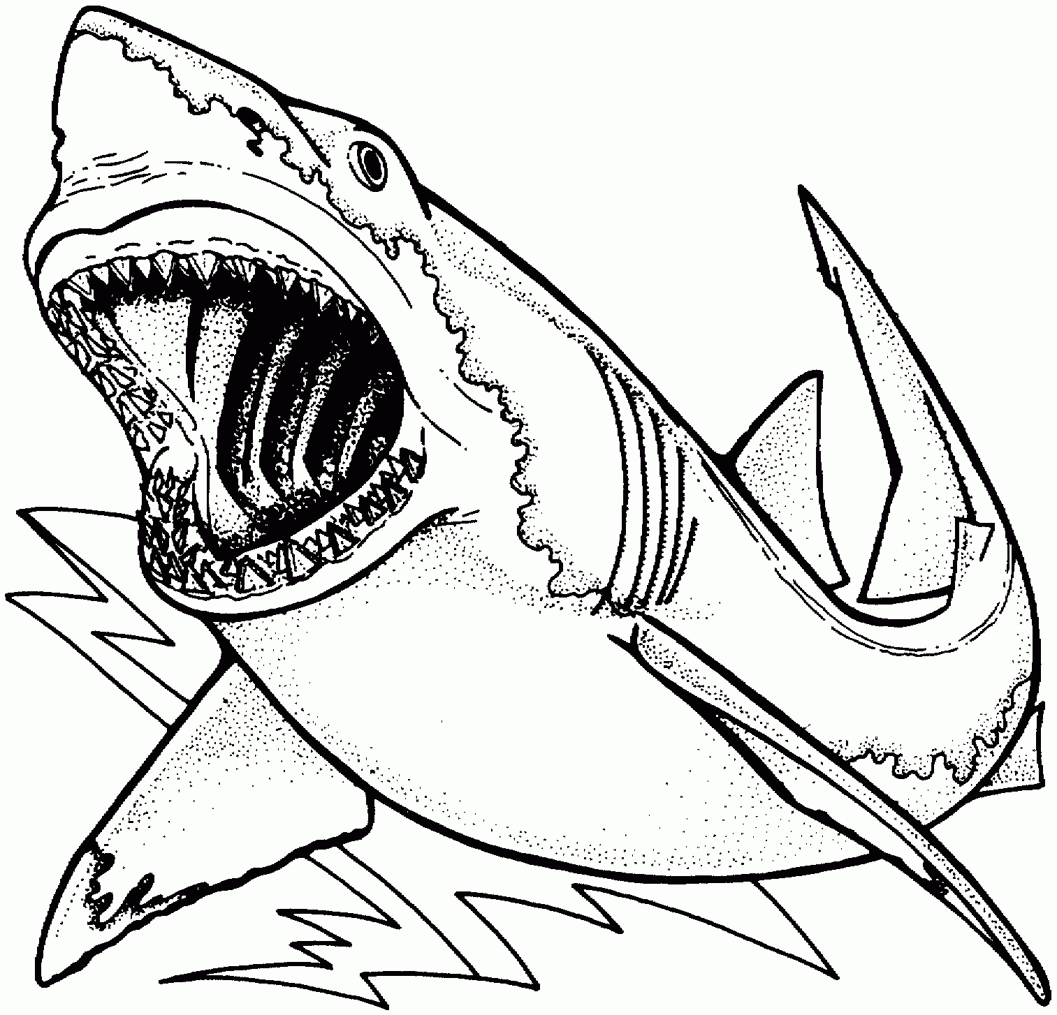Jaws Coloring Pages Printable Coloring Pages