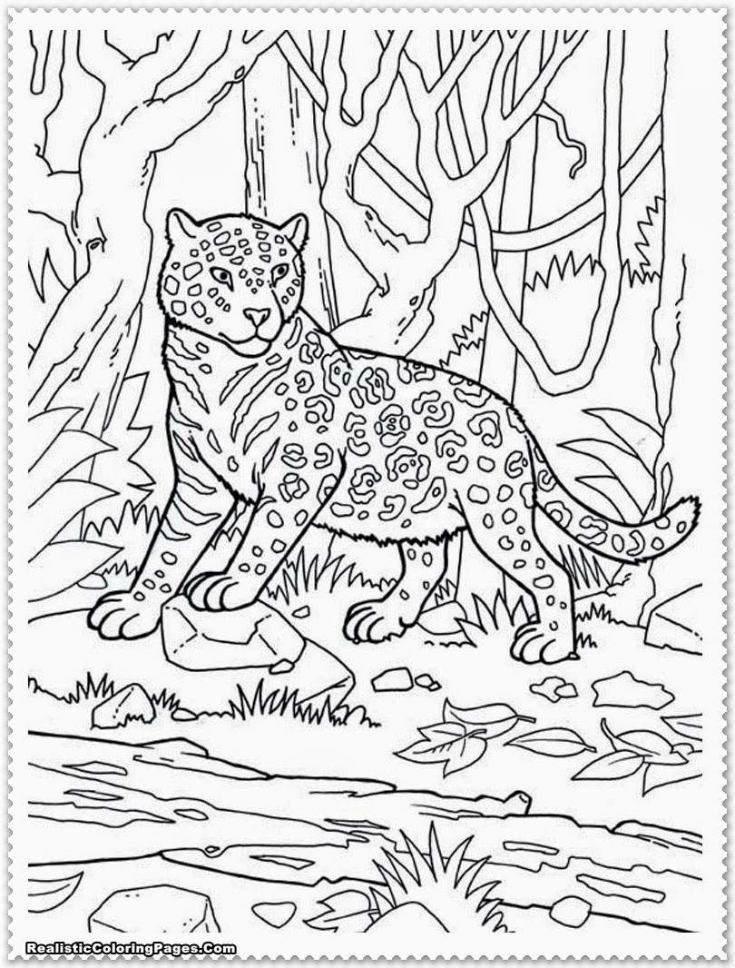 Jungle Printable Coloring Pages Printable Word Searches