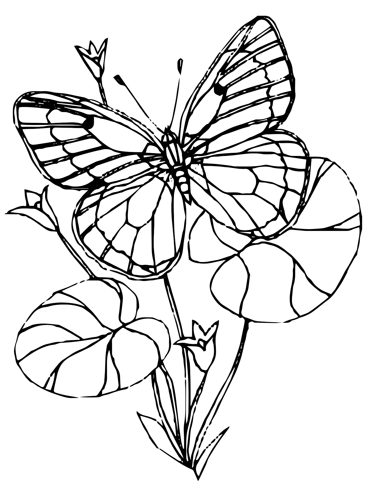 Butterfly Coloring Page Printable