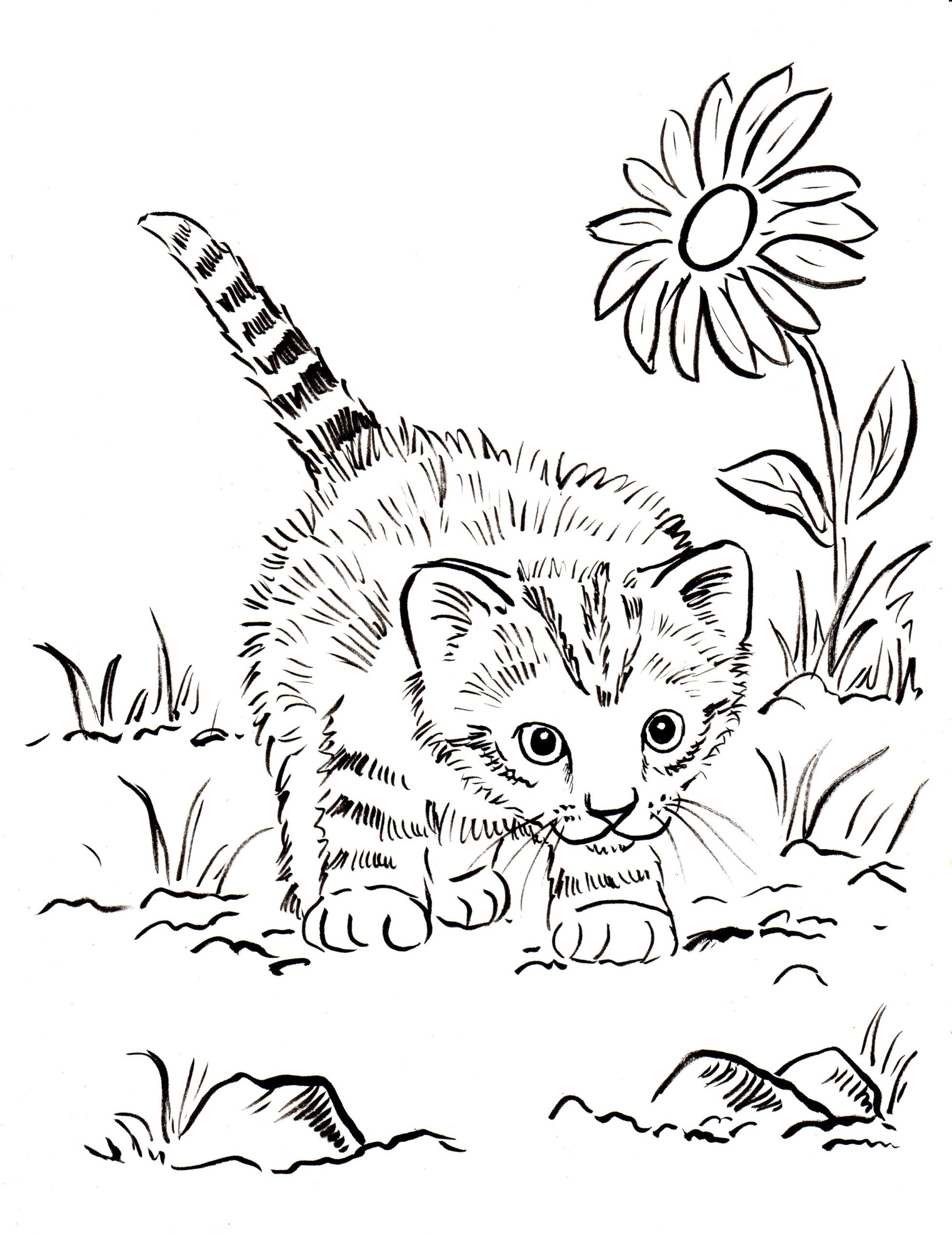 Coloring Pages Printable Kittens