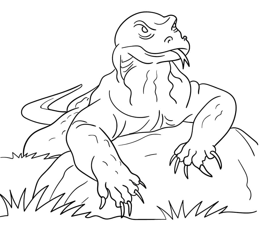 Komodo Dragon Coloring Pages Free Printable Coloring Pages For Kids