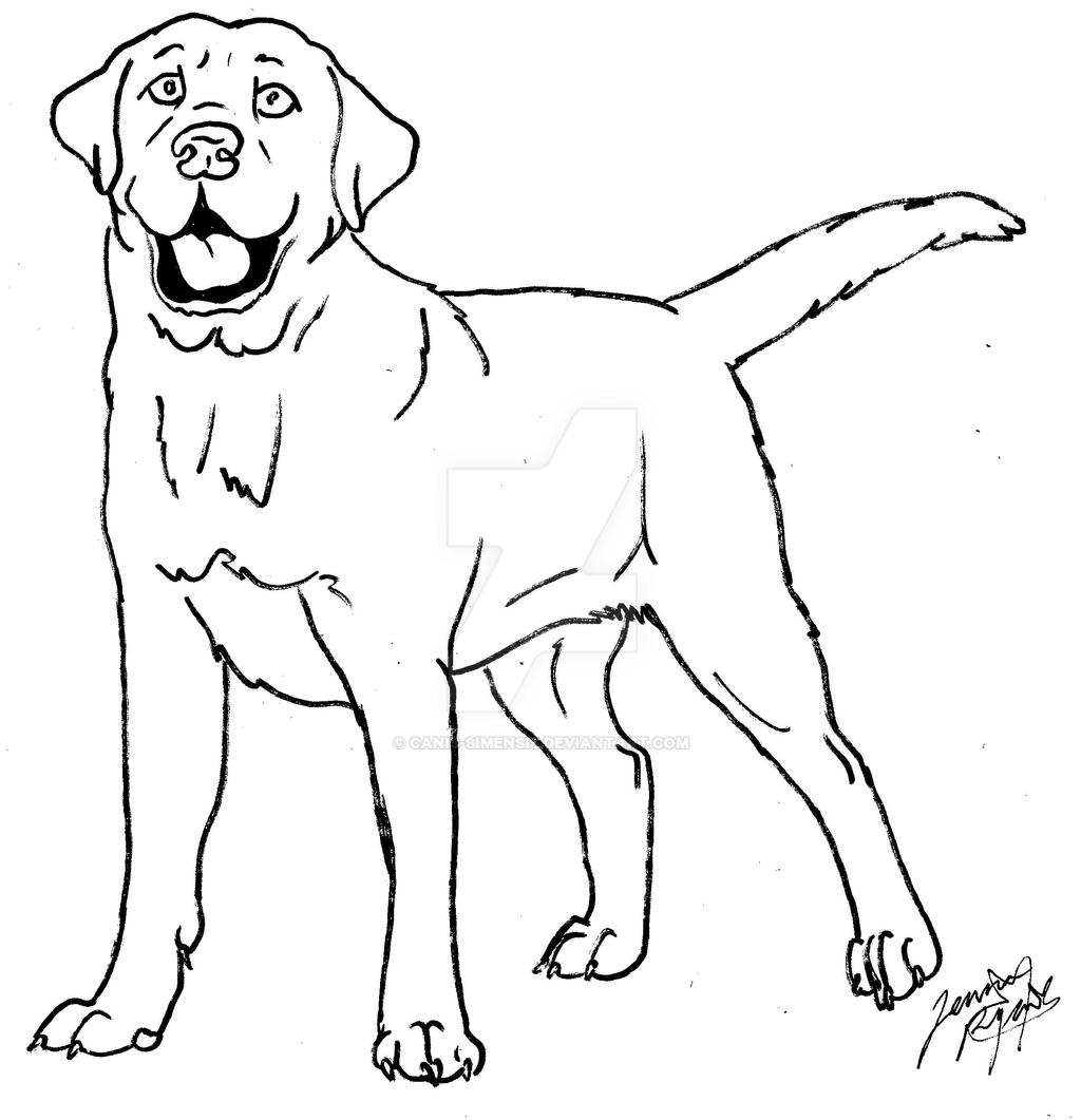 Labrador Retriever Coloring Pages Coloring Pages