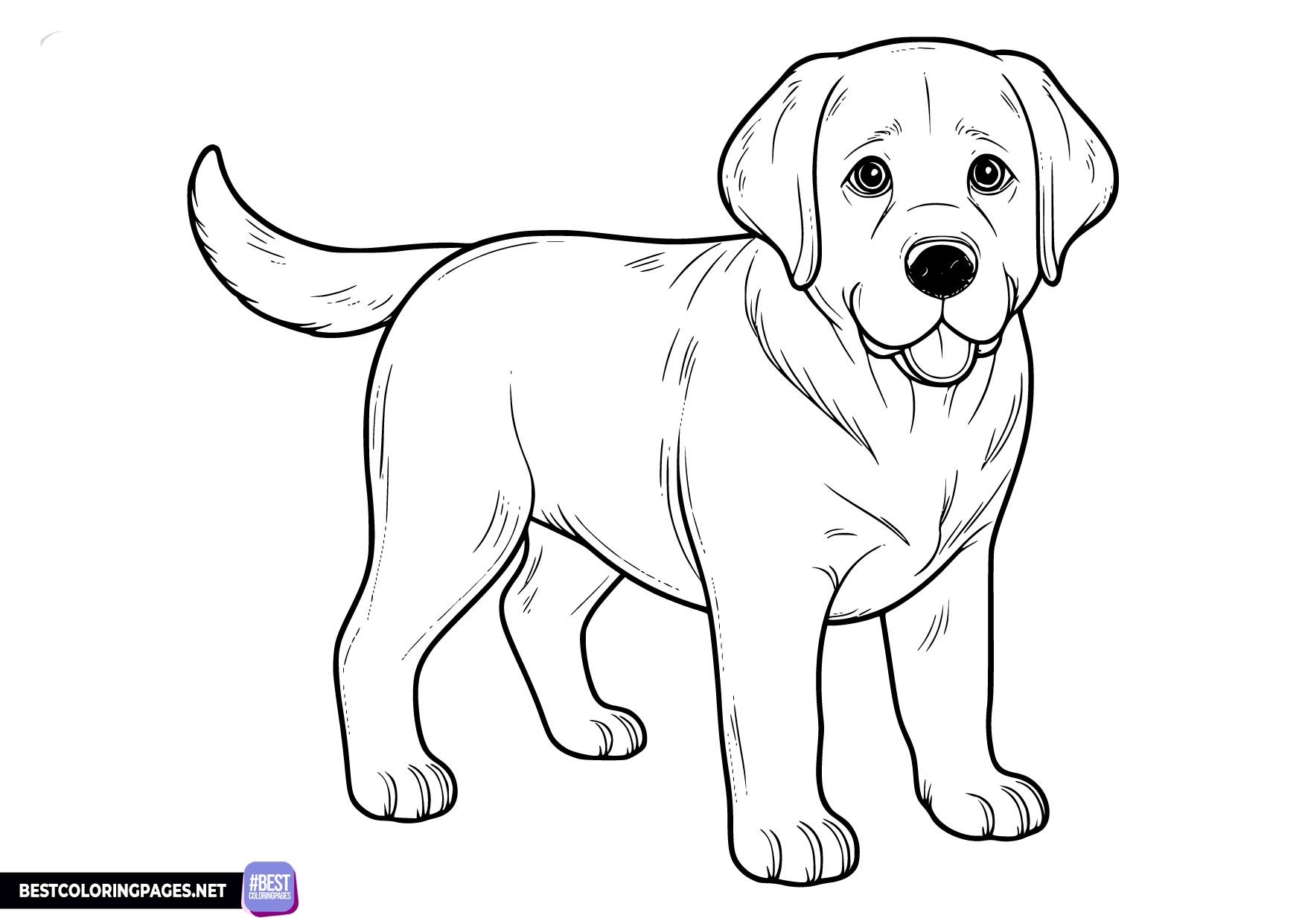 Labrador Retriever Coloring Pages Free Printable Coloring Pages