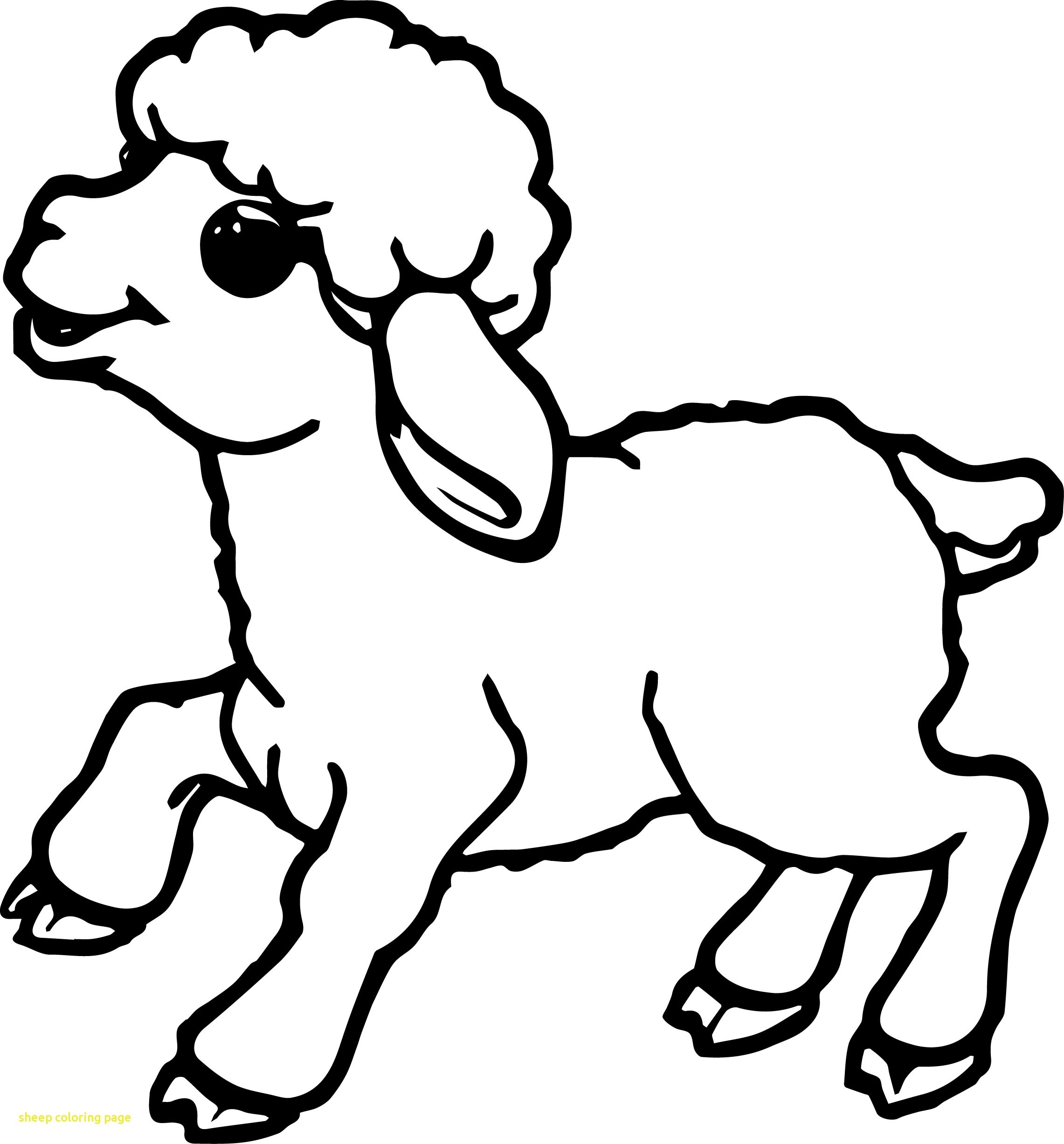 Lamb Coloring Page At GetDrawings Free Download
