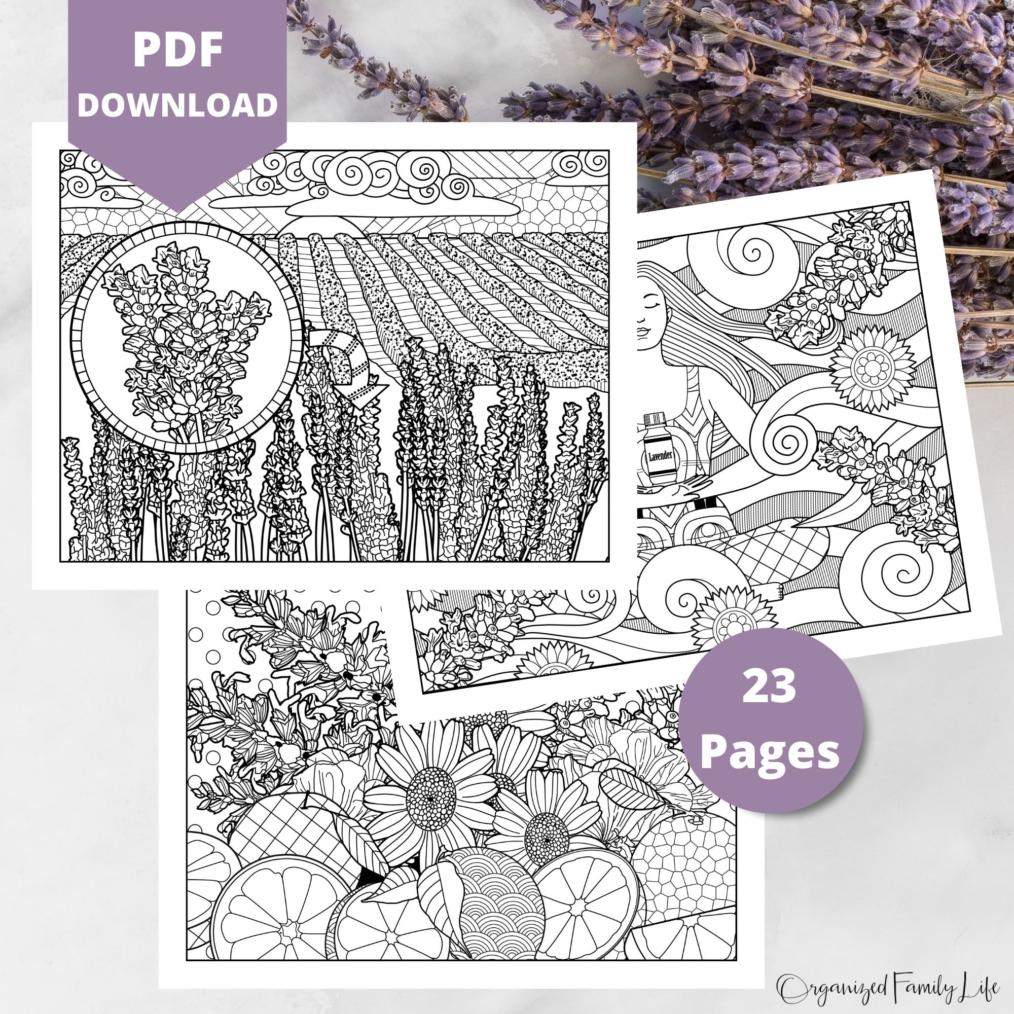 Lavender Essential Oil Coloring Pages PDF Printable Instant Download Organized Family Life