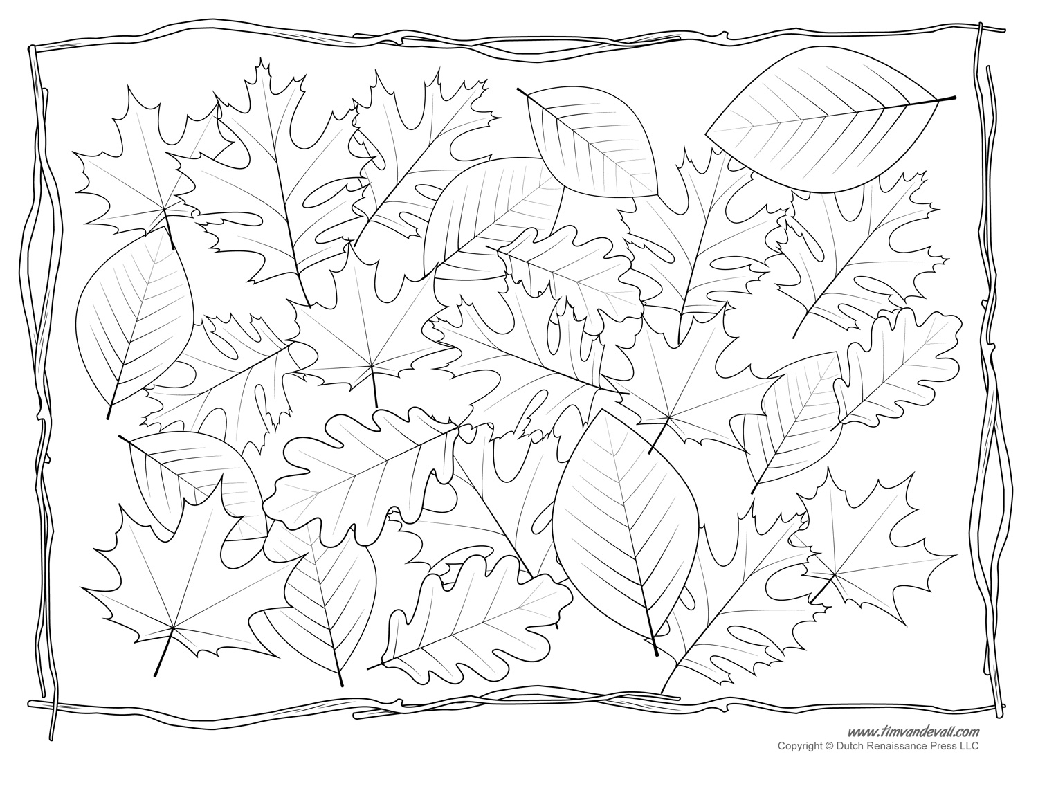 Leaf Templates Leaf Coloring Pages For Kids Leaf Printables