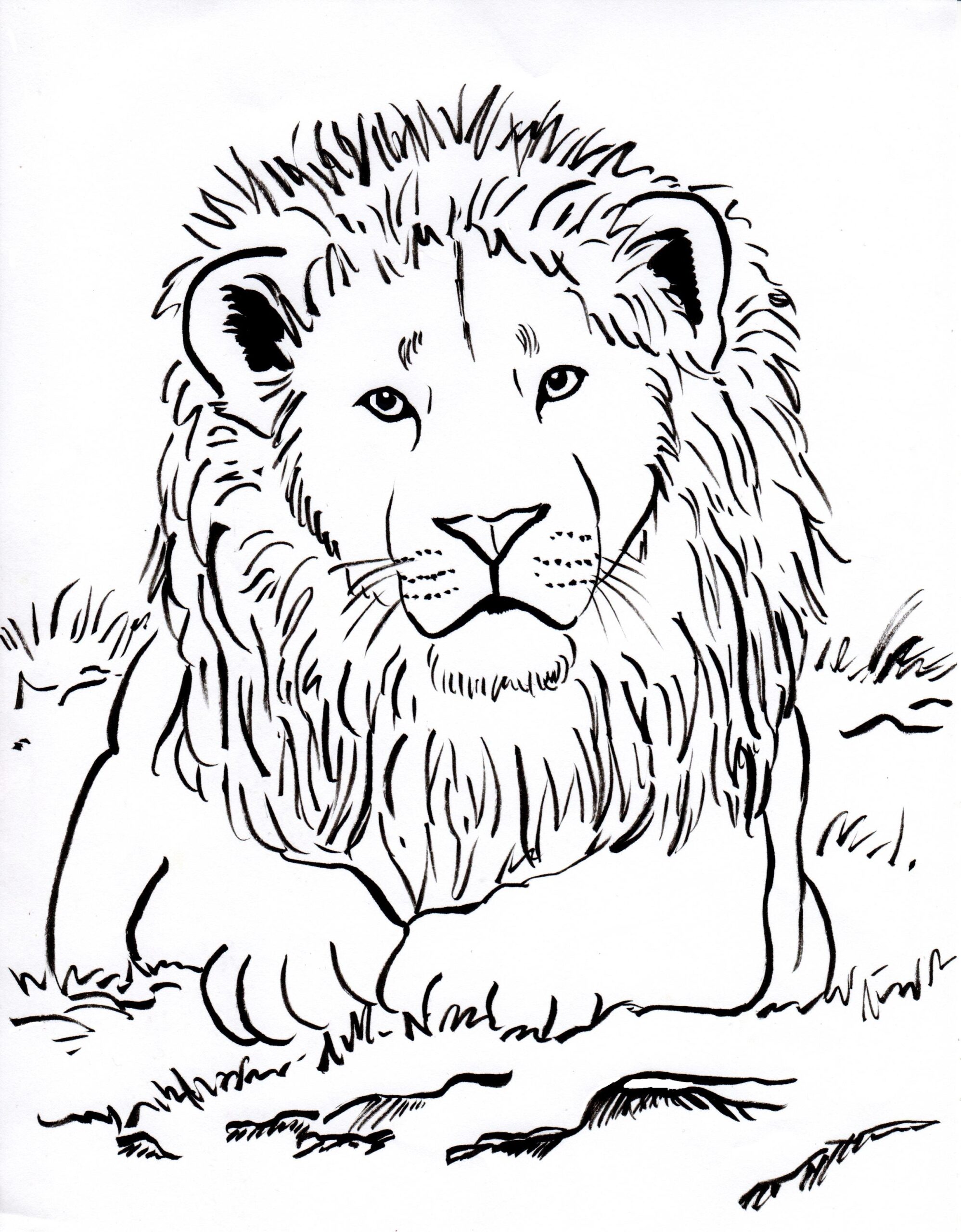 Lion Coloring Page Art Starts
