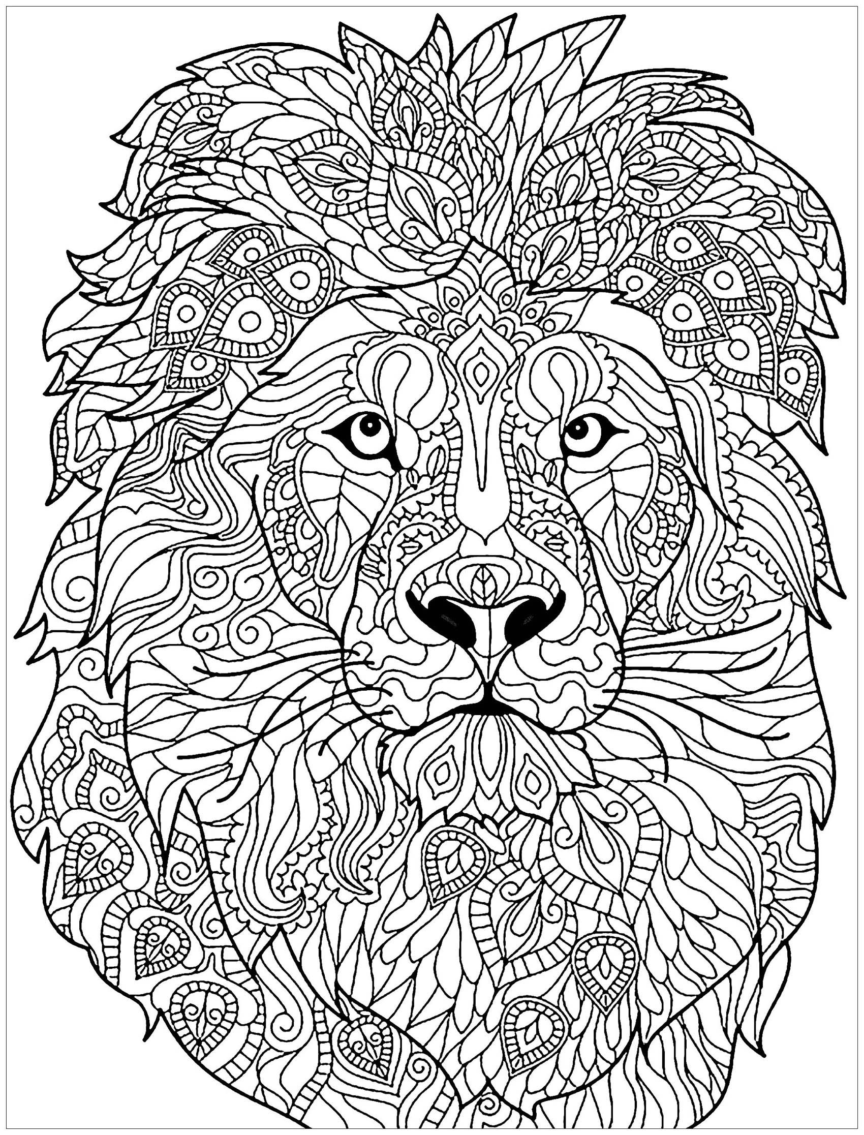 Lion Head With Complex Patterns To Color Lion Coloring Pages For Kids