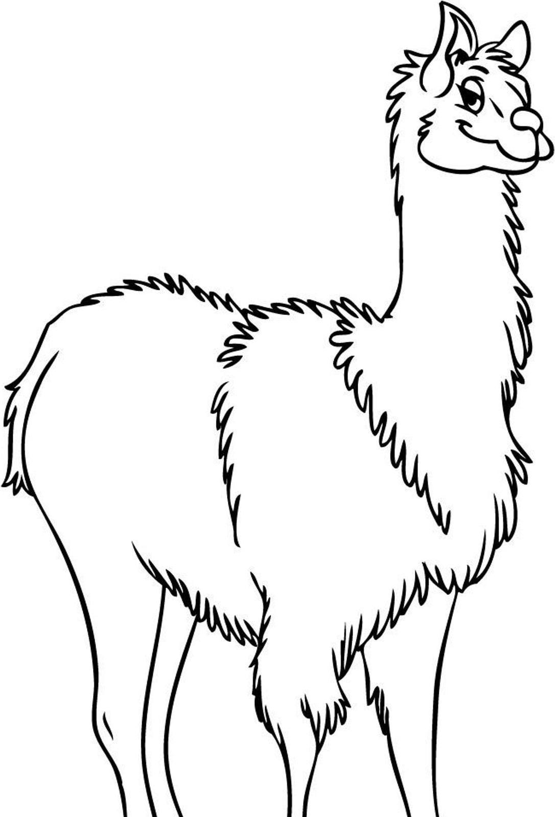 Llama Coloring Pages Printable Printable Word Searches