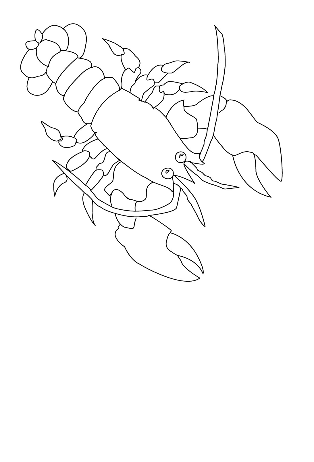 Free Printable Lobster Coloring Pages