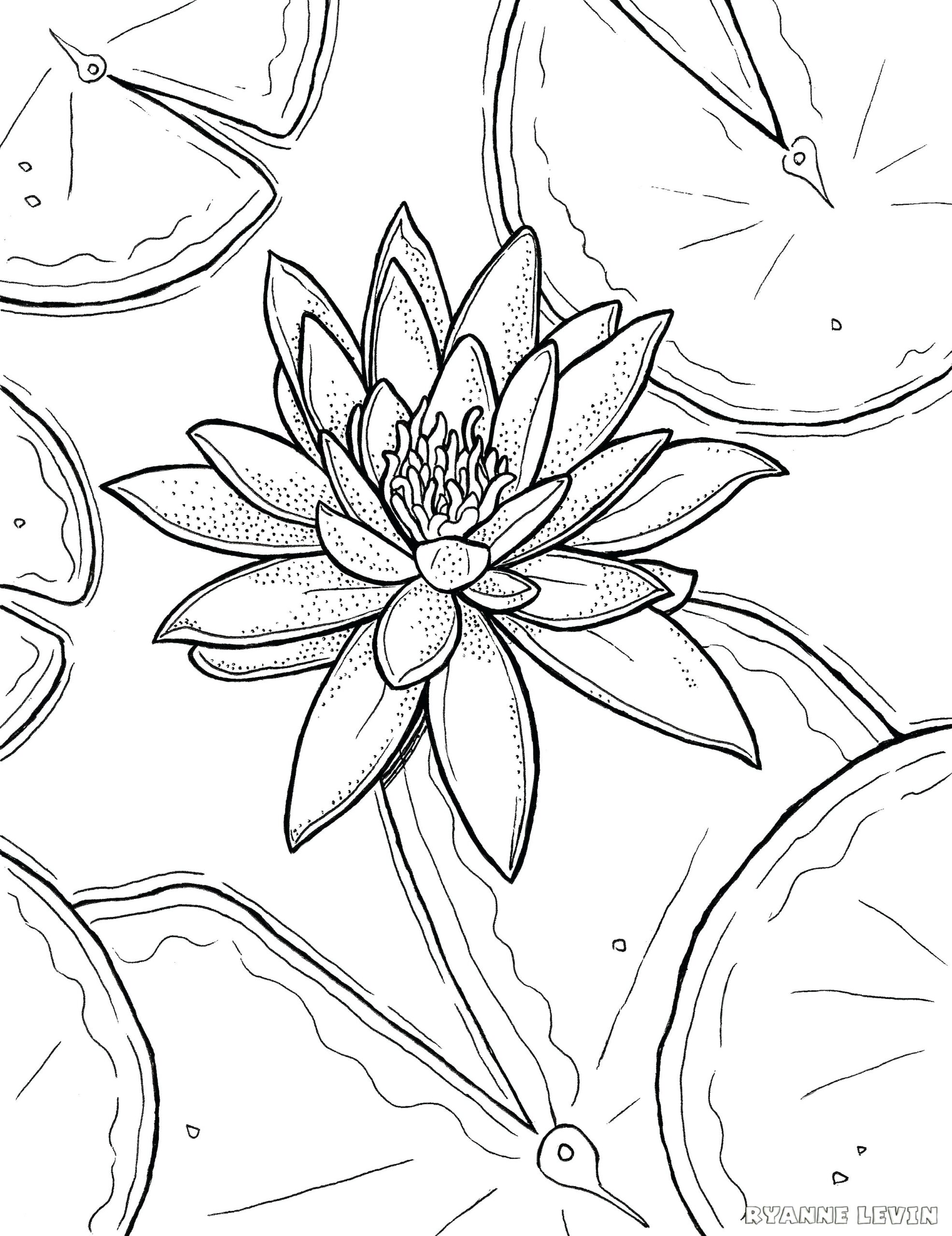 Monet Coloring Pages Printable