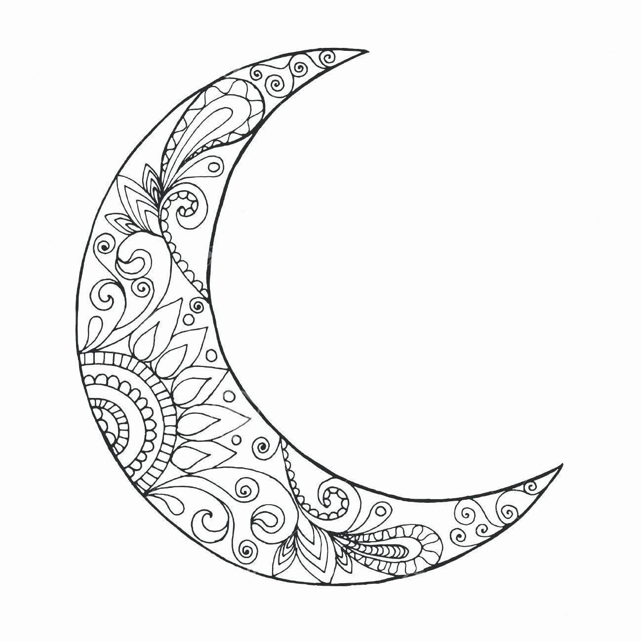 Moon Coloring Pages For Adults In 2020 Moon Coloring Pages Adult Coloring Pages Coloring Pages