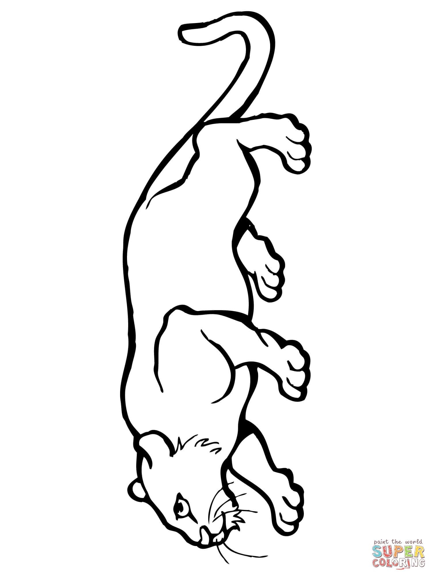 Mountain Lion Coloring Pages At GetColorings Free Printable Colorings Pages To Print And Color