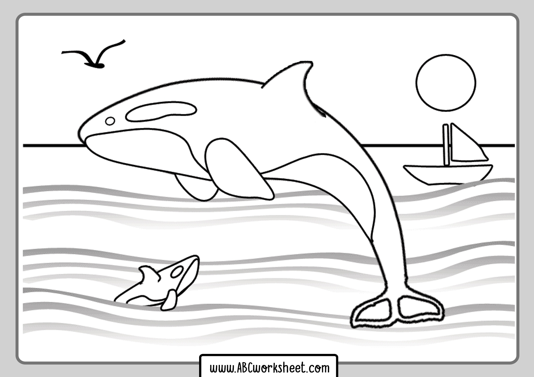 Orca Killer Whale On The Sea Coloring Page ABC Worksheet
