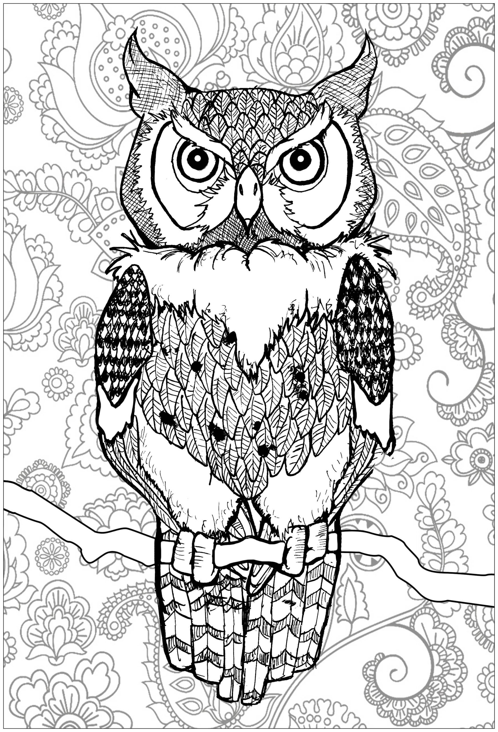 Owl Coloring Pages For Adults Printable