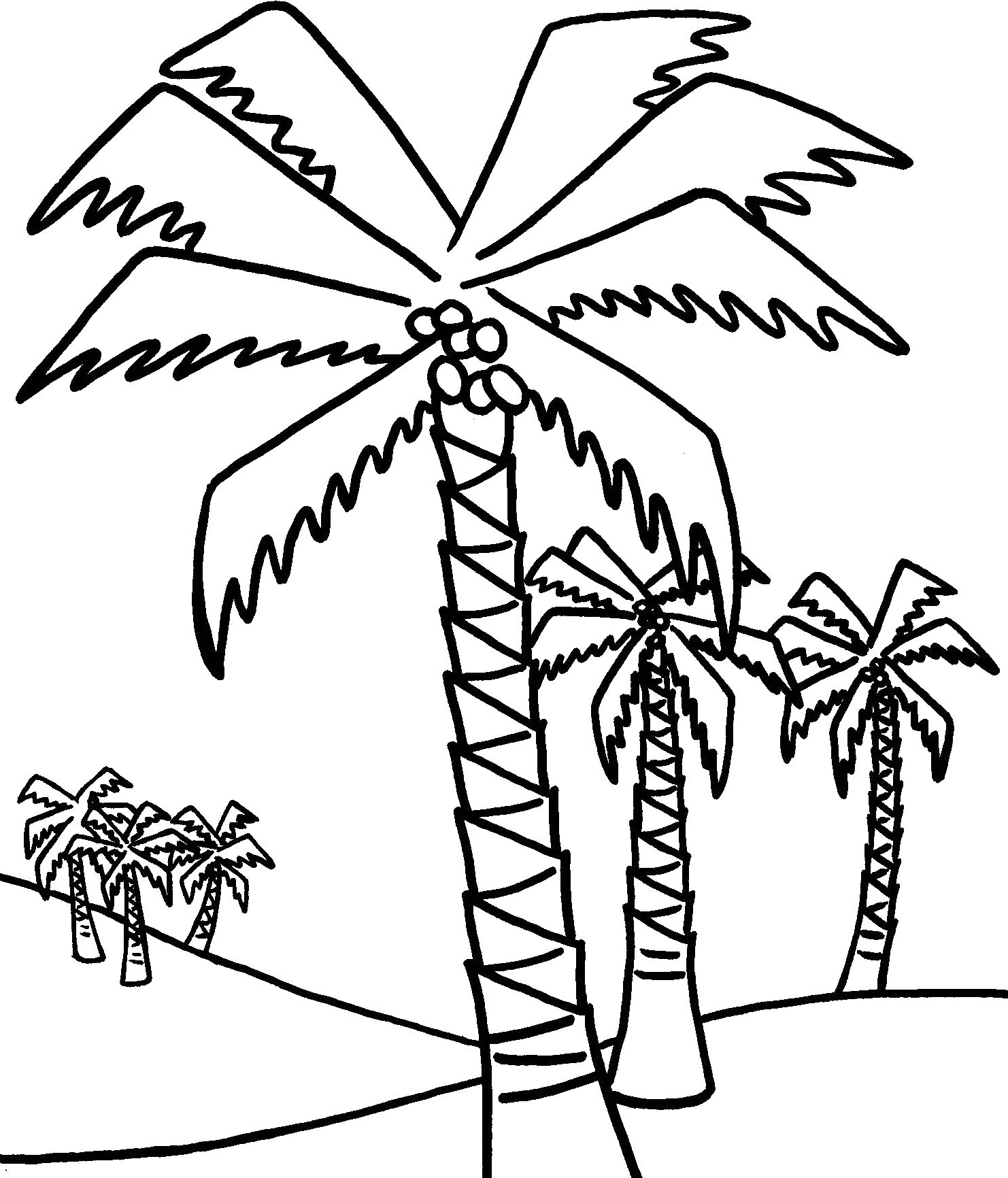 Palm Branch Coloring Page At GetDrawings Free Download