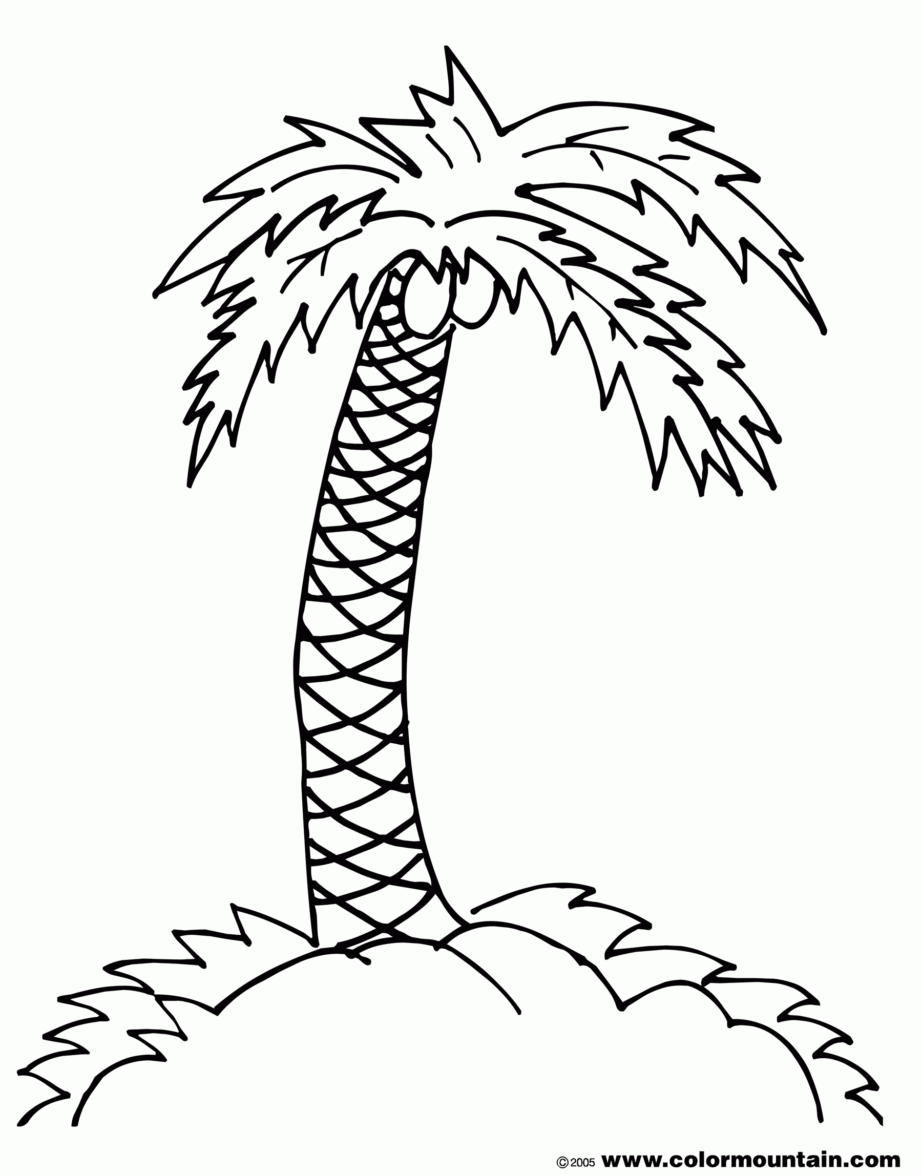 Palm Tree Coloring Pages Printable