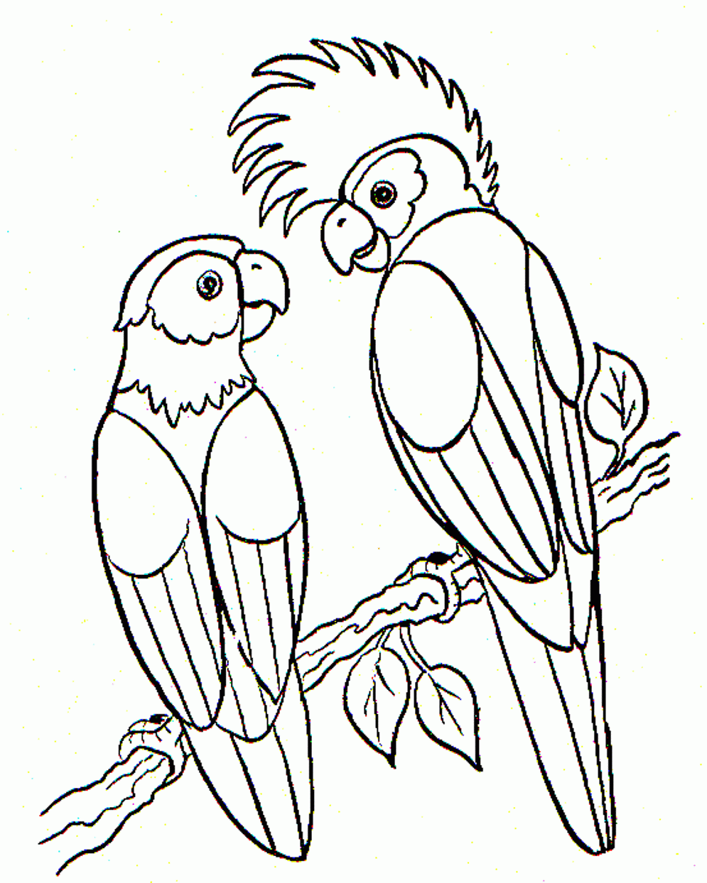 Parrot Coloring Pages Printable
