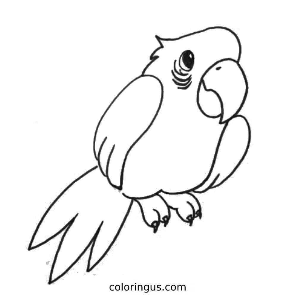 Parrot Free Printable Parrot Coloring Pages
