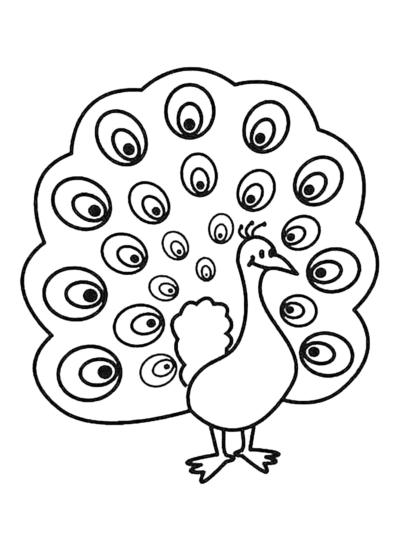 Peacock Coloring Pages Printable