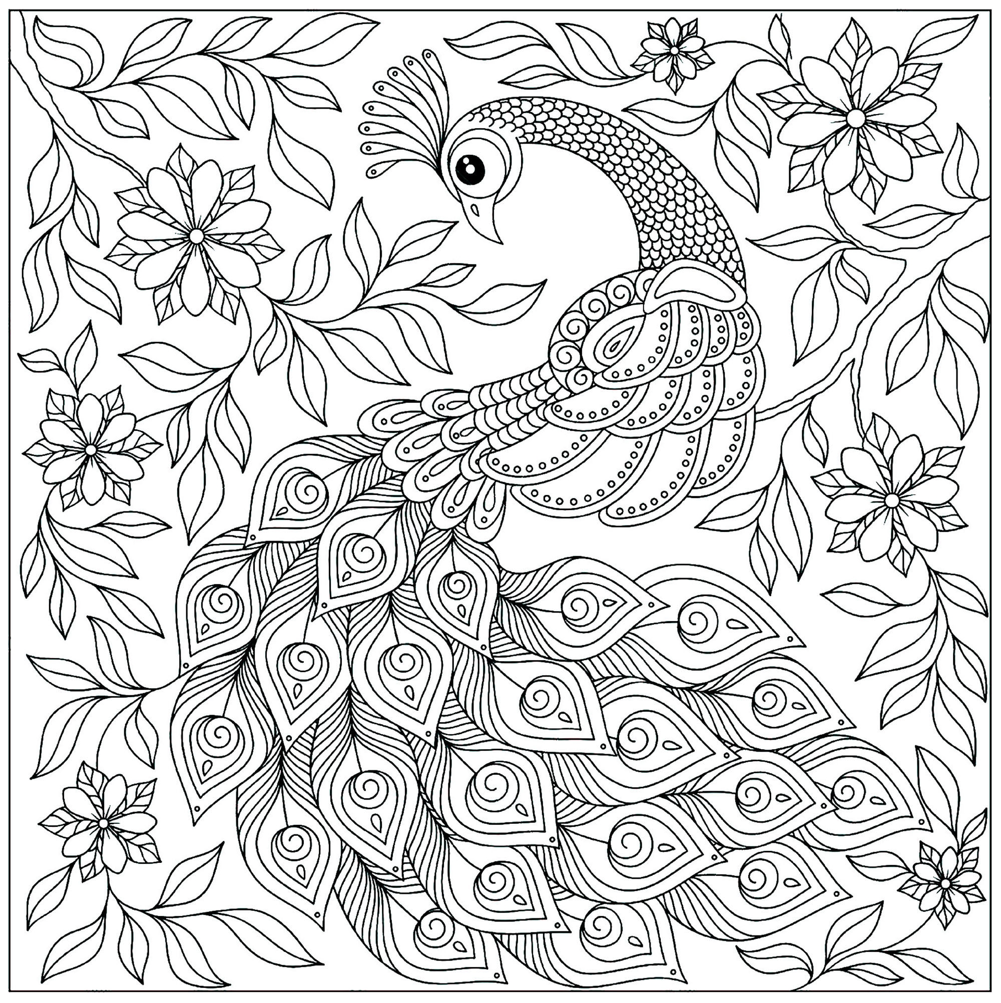 Peacocks To Print Peacocks Kids Coloring Pages